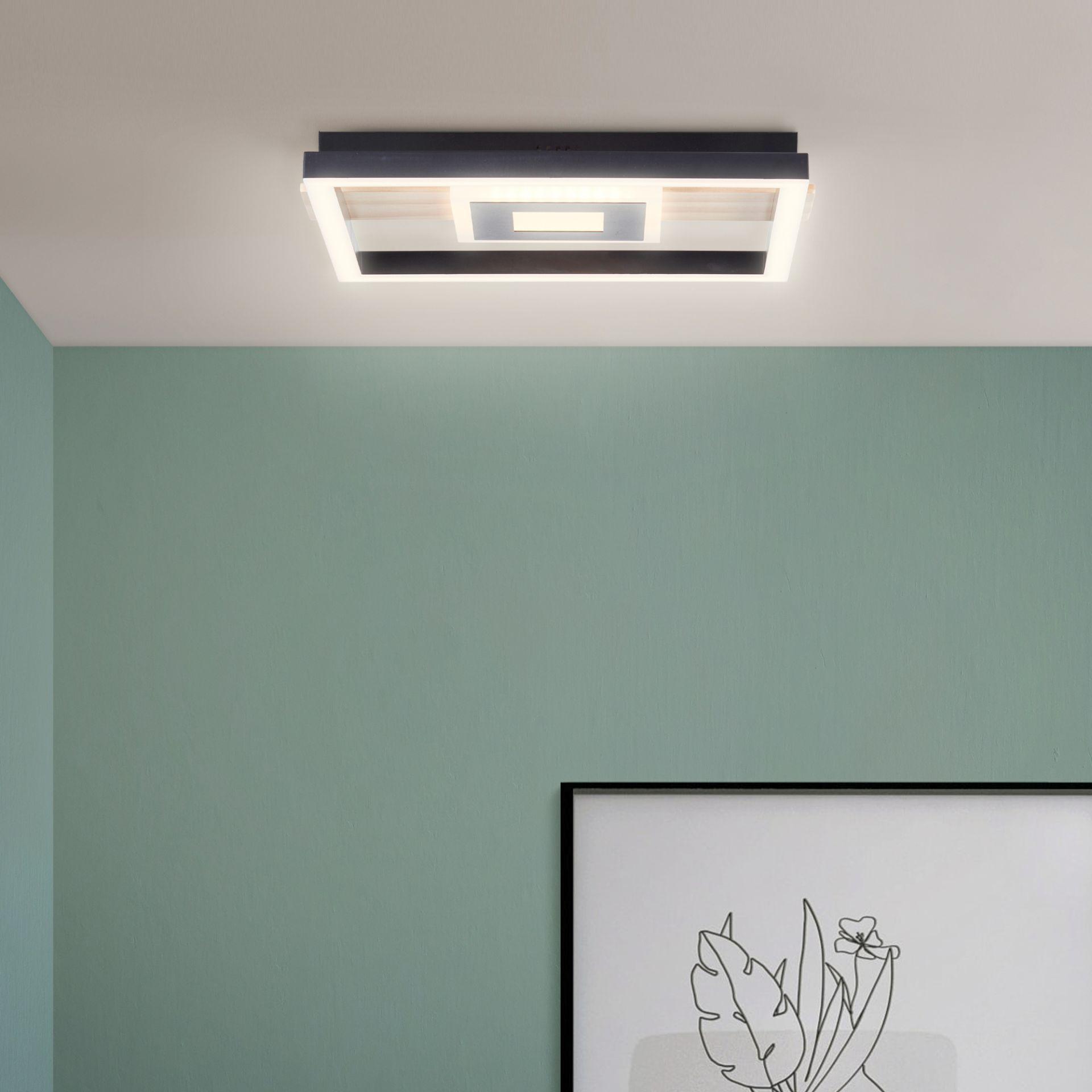 Deckenleuchte Aras, braun, 27,5 x 29,5 cm, Metall Lampe