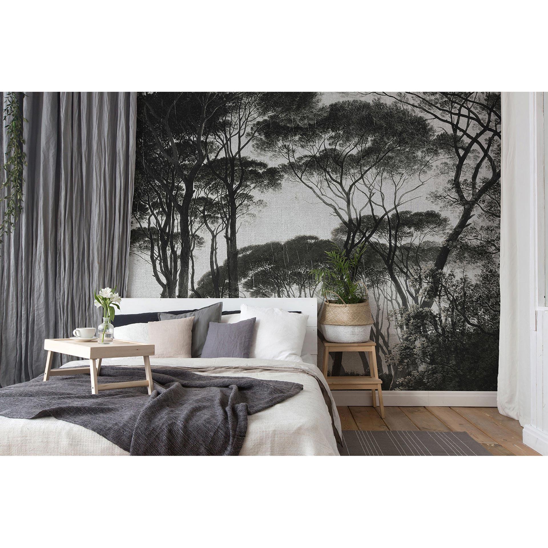 Architects Paper Papier peint photo Atelier 47 Treetops forêt