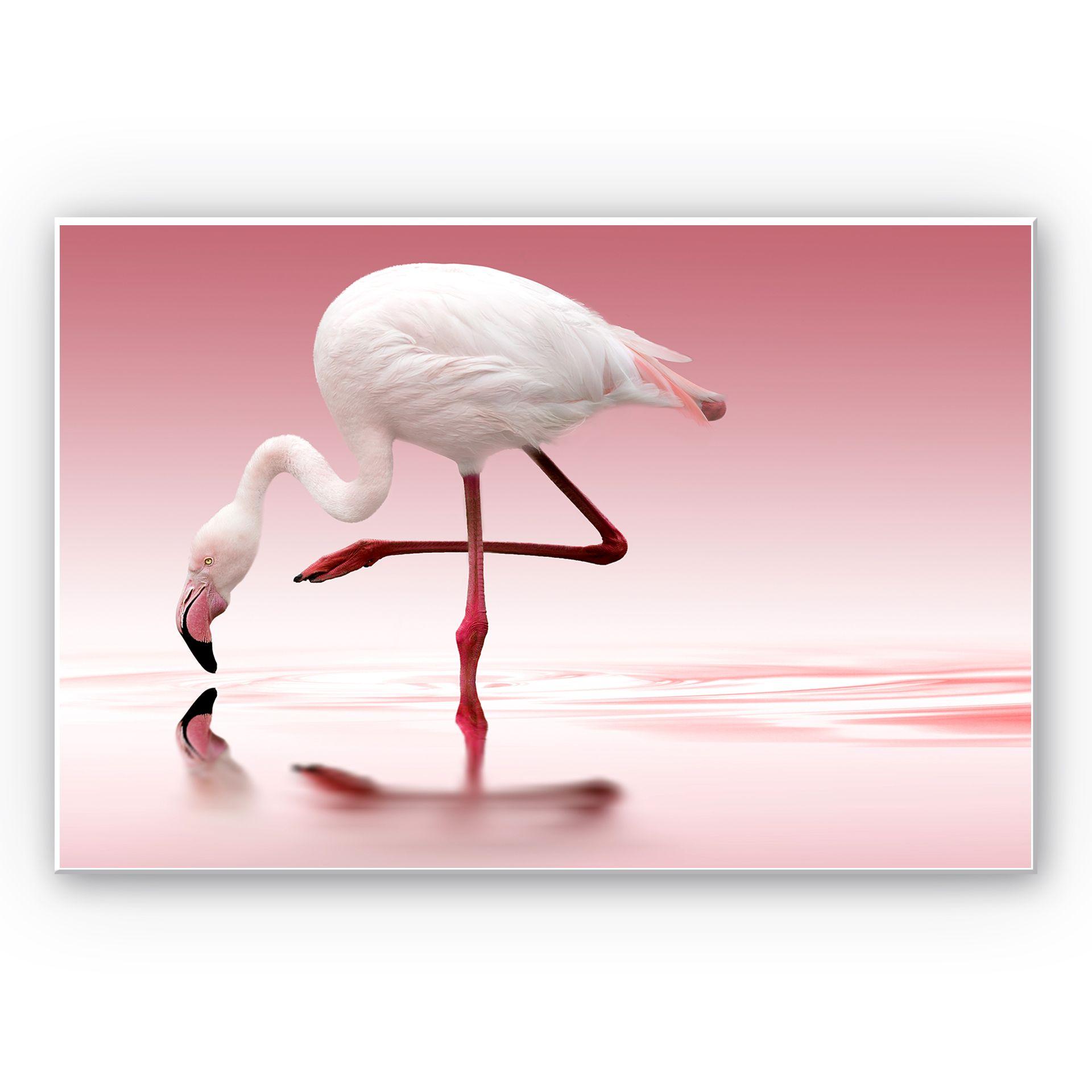 Tableau Formex - Reindl - Flament rose 
