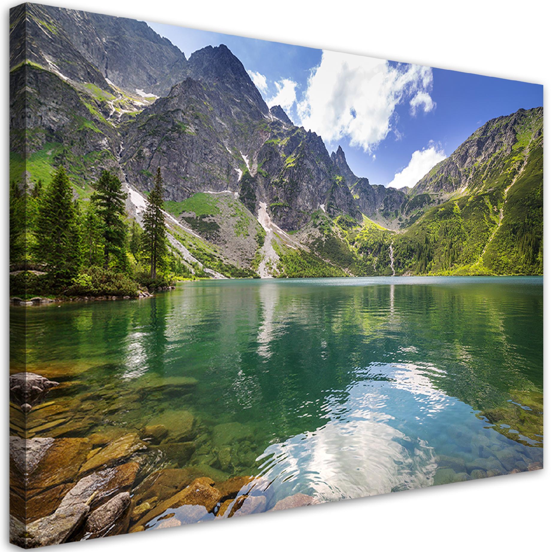 Canvasbillede, bjergsø træer Natura