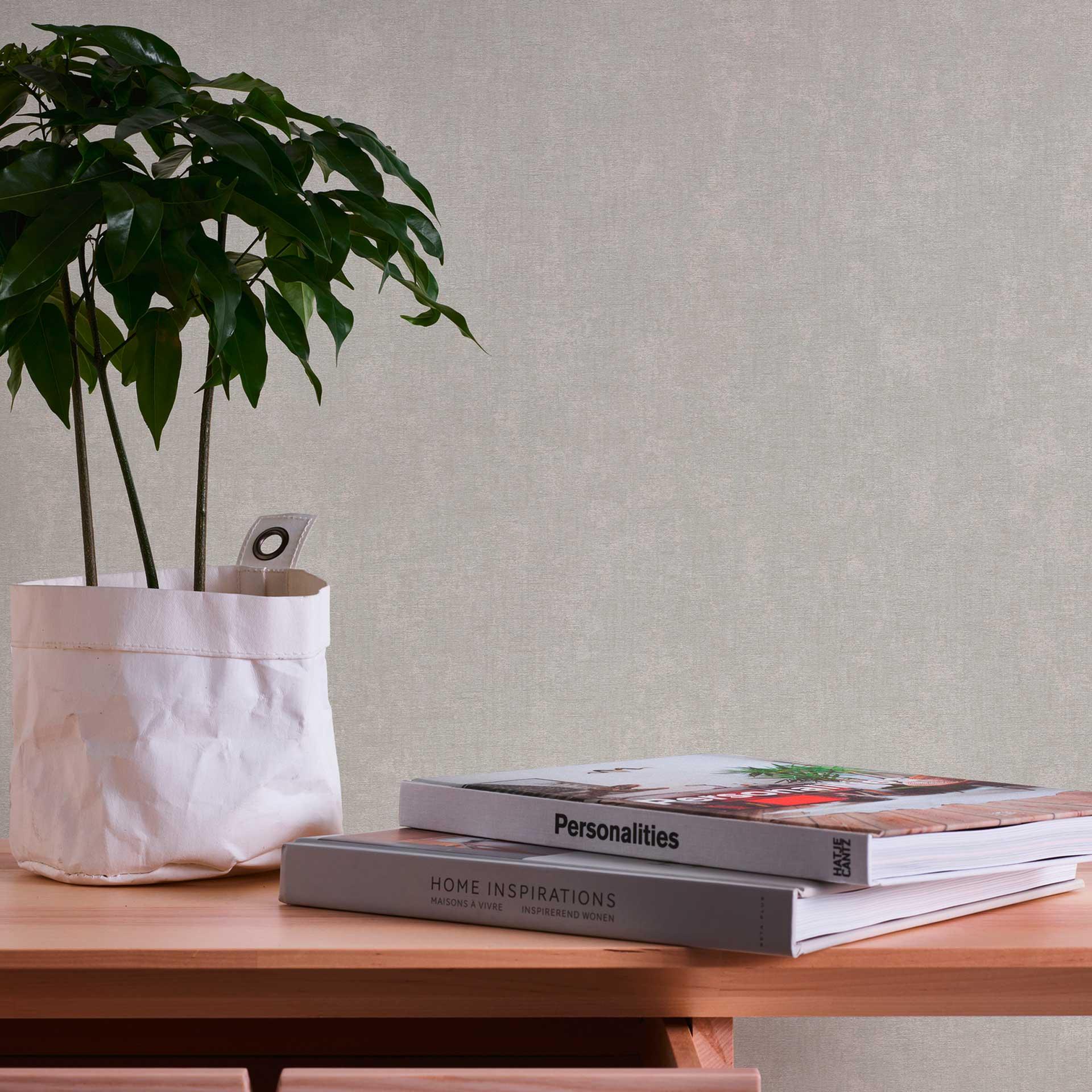 Papel pintado moderno gris claro monocromo - papel pintado tejido-no tejido para el salón