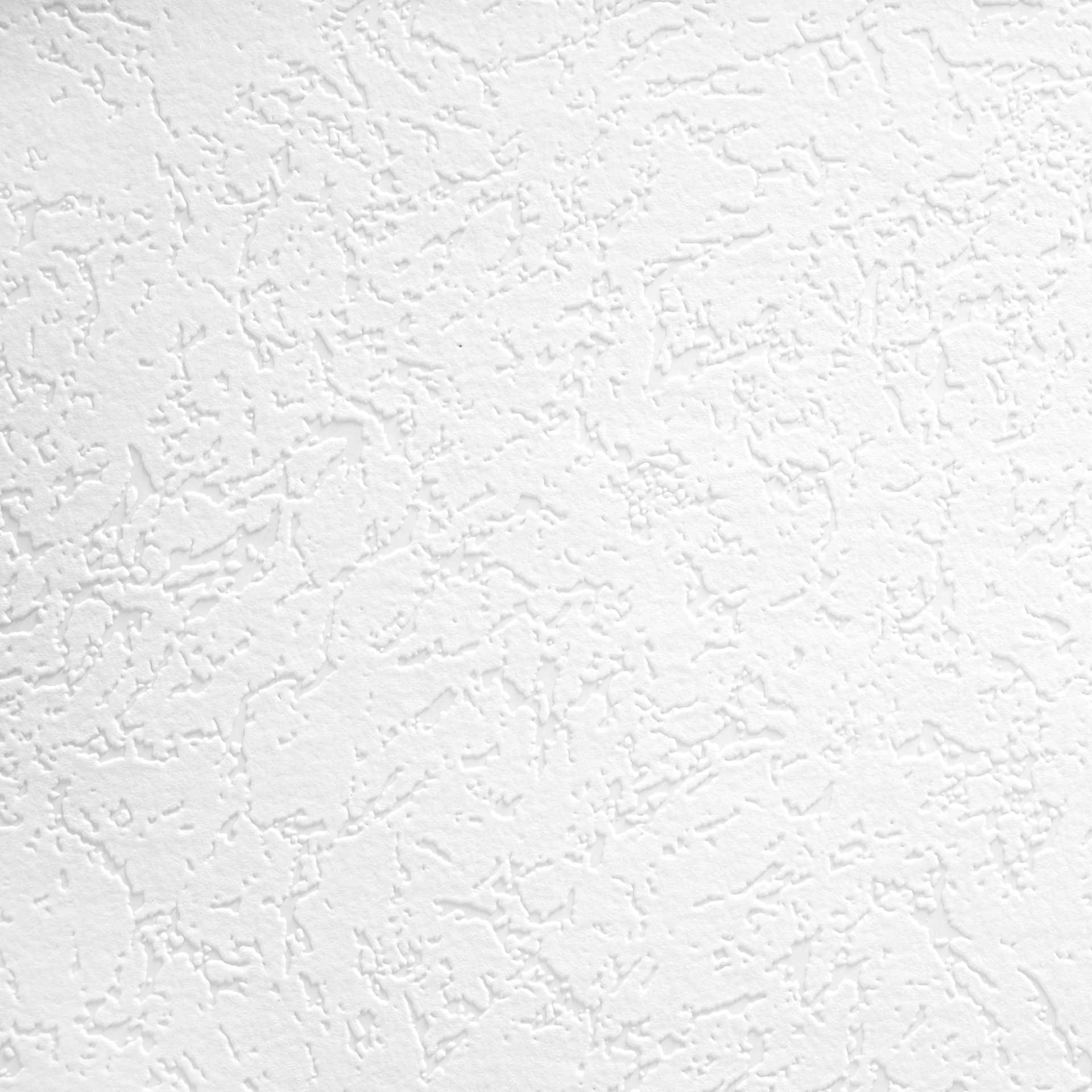 Architects Paper Pigmenttapet, som kan males på, klassisk hvid