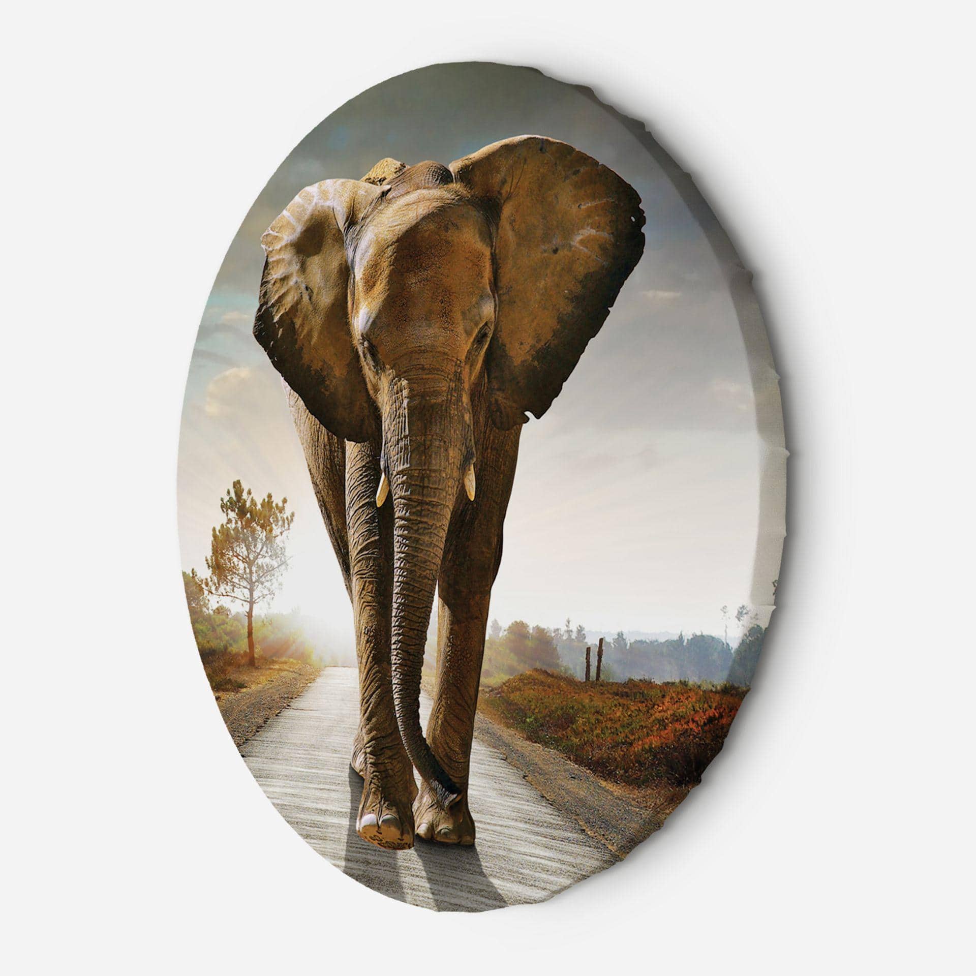 Rundt lærredsbillede Elefant på vej