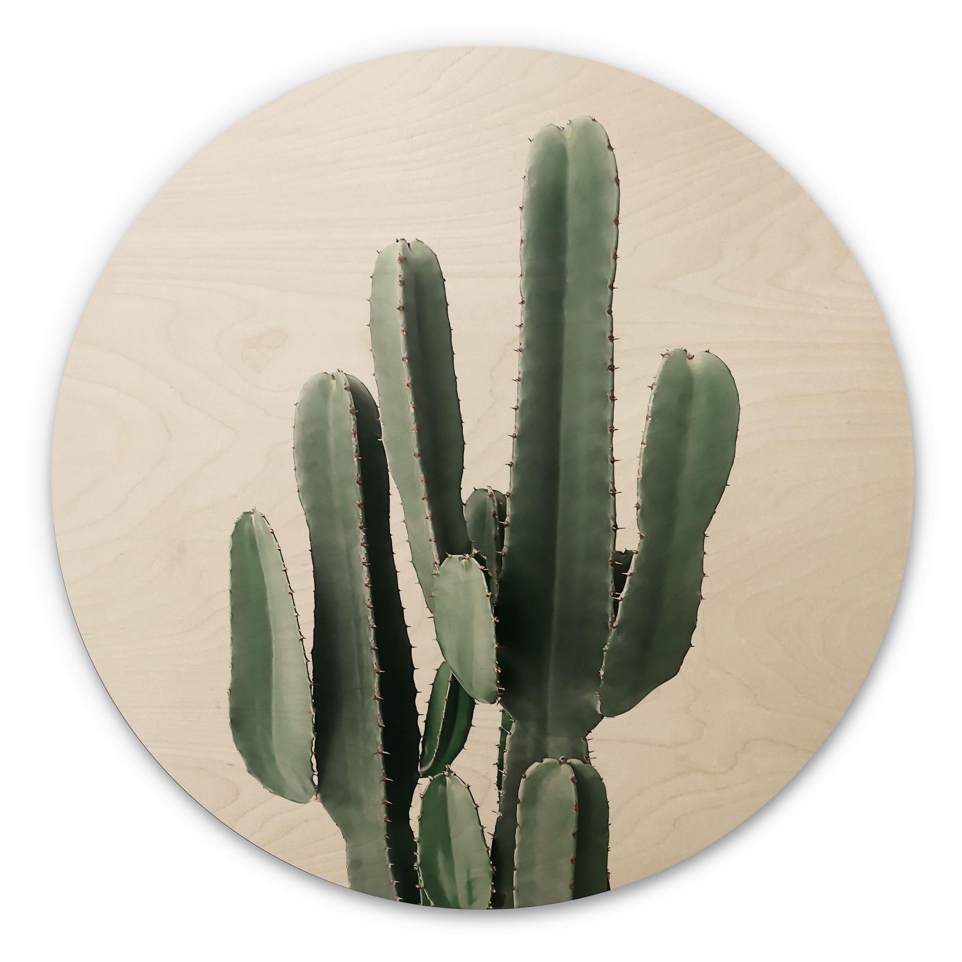 Cuadro de madera planta de cactus - Sisi & Seb - Redondo