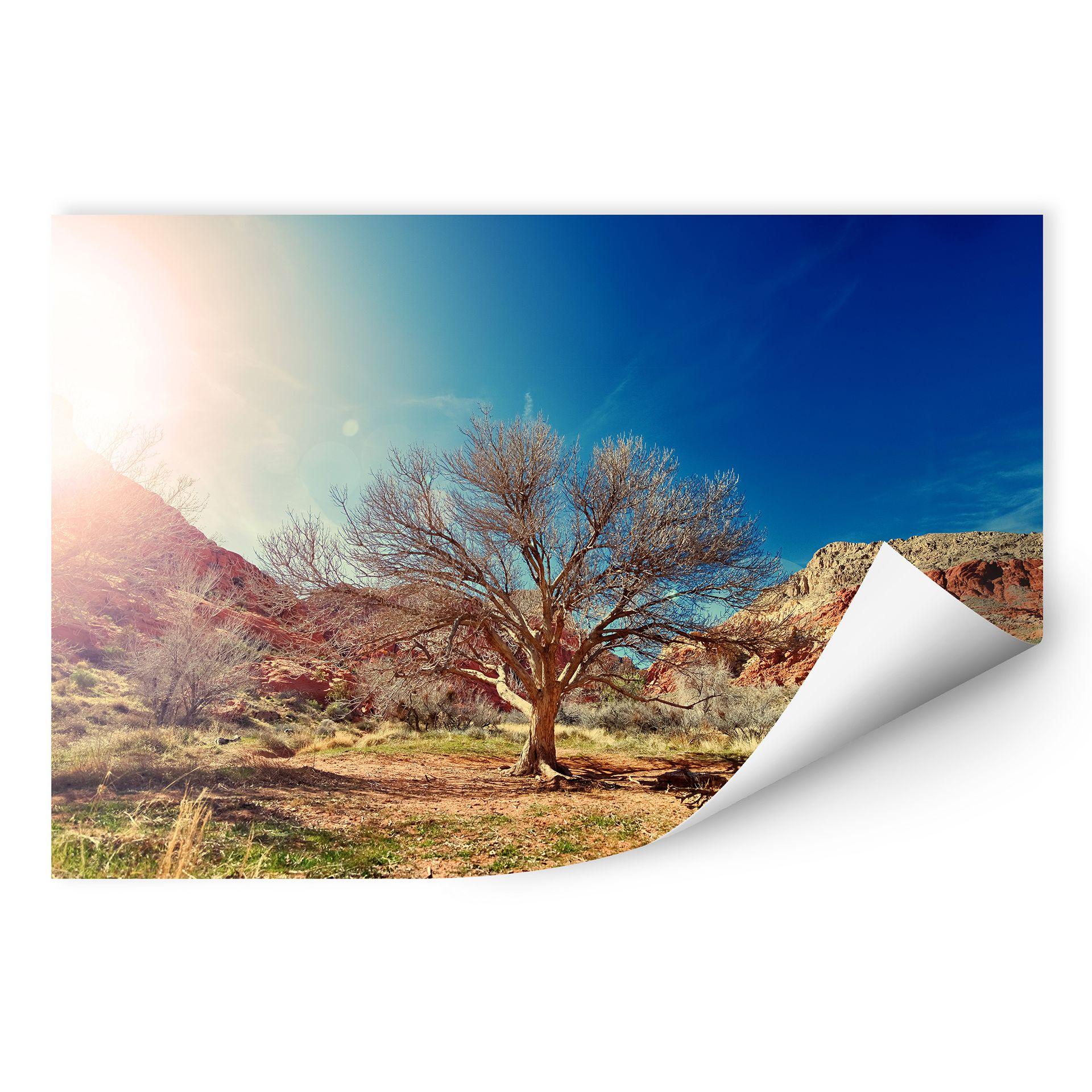 Zelfklevende Poster  Single Tree