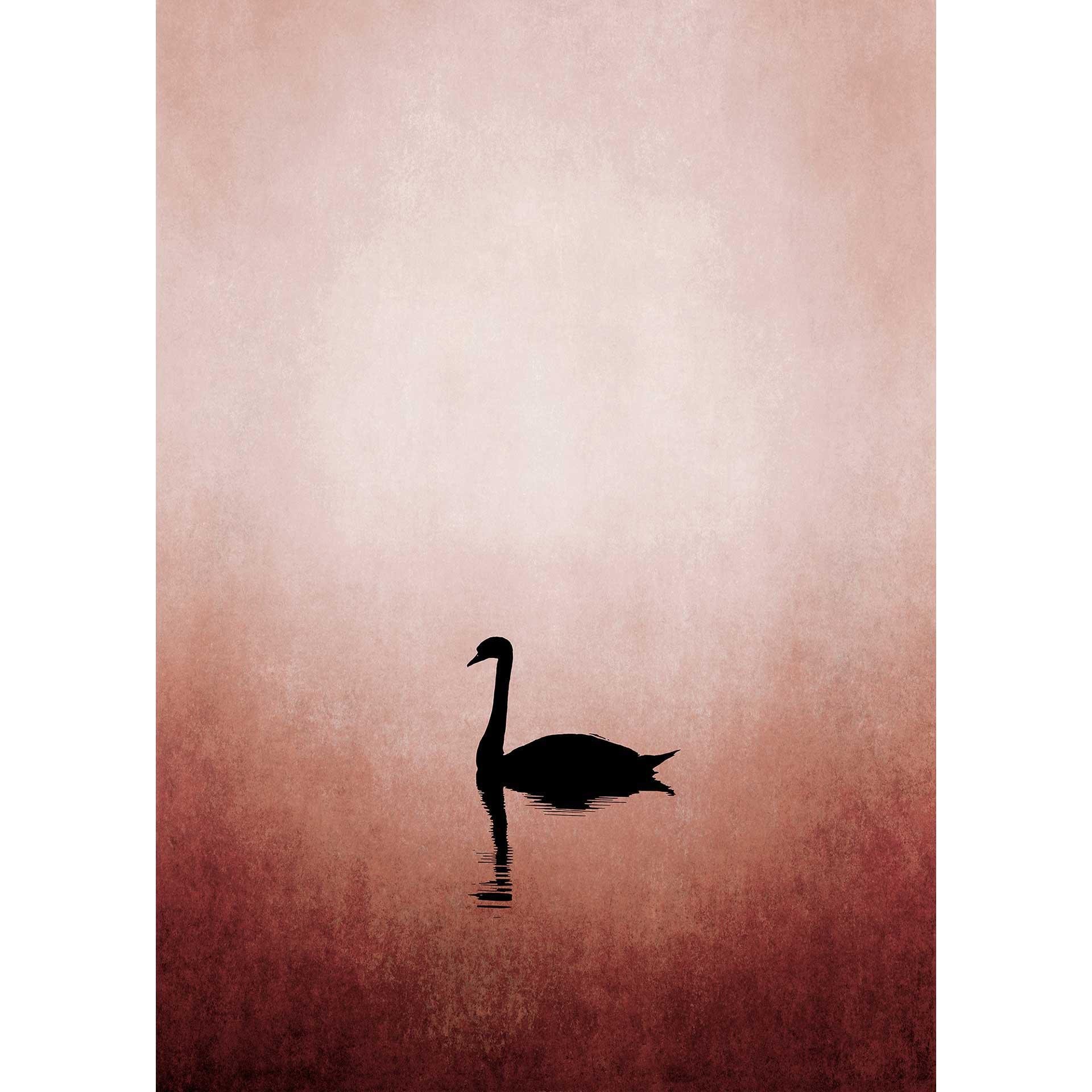 Livingwalls papier peint photo ARTist Swan Lake
