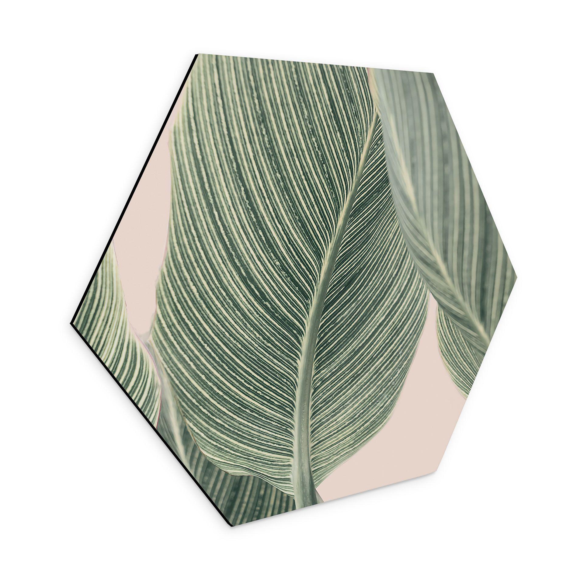 Hexagon Dibond Calathea-plante - Sisi & Seb