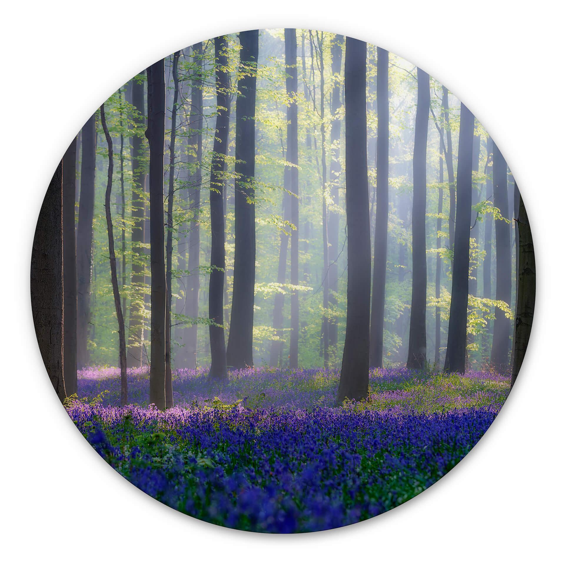 Wandcirkel Popan - Hyacinthen