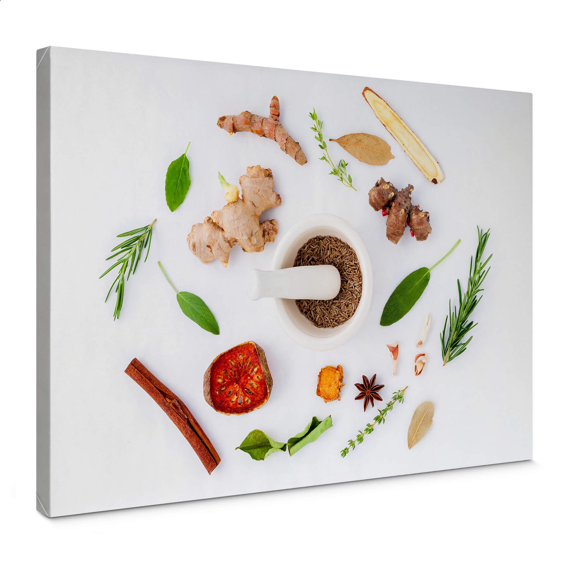 Lienzo hierbas de cocina