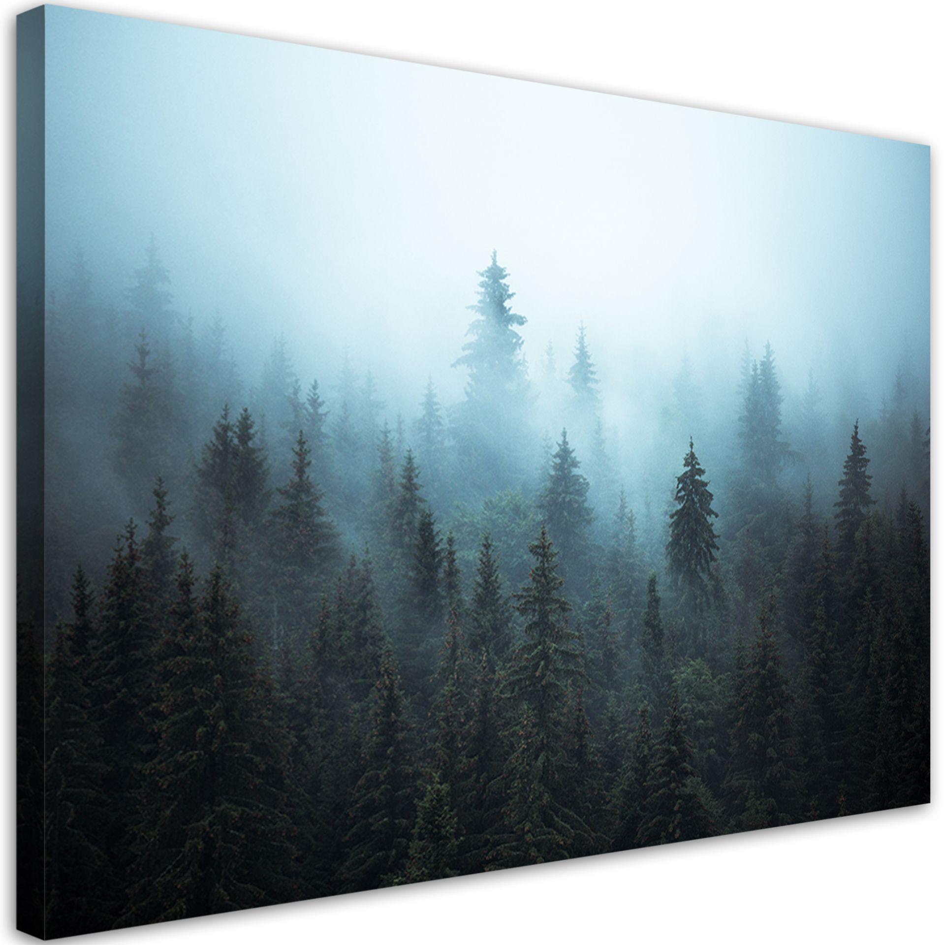 Canvasbillede, Skov i tåge