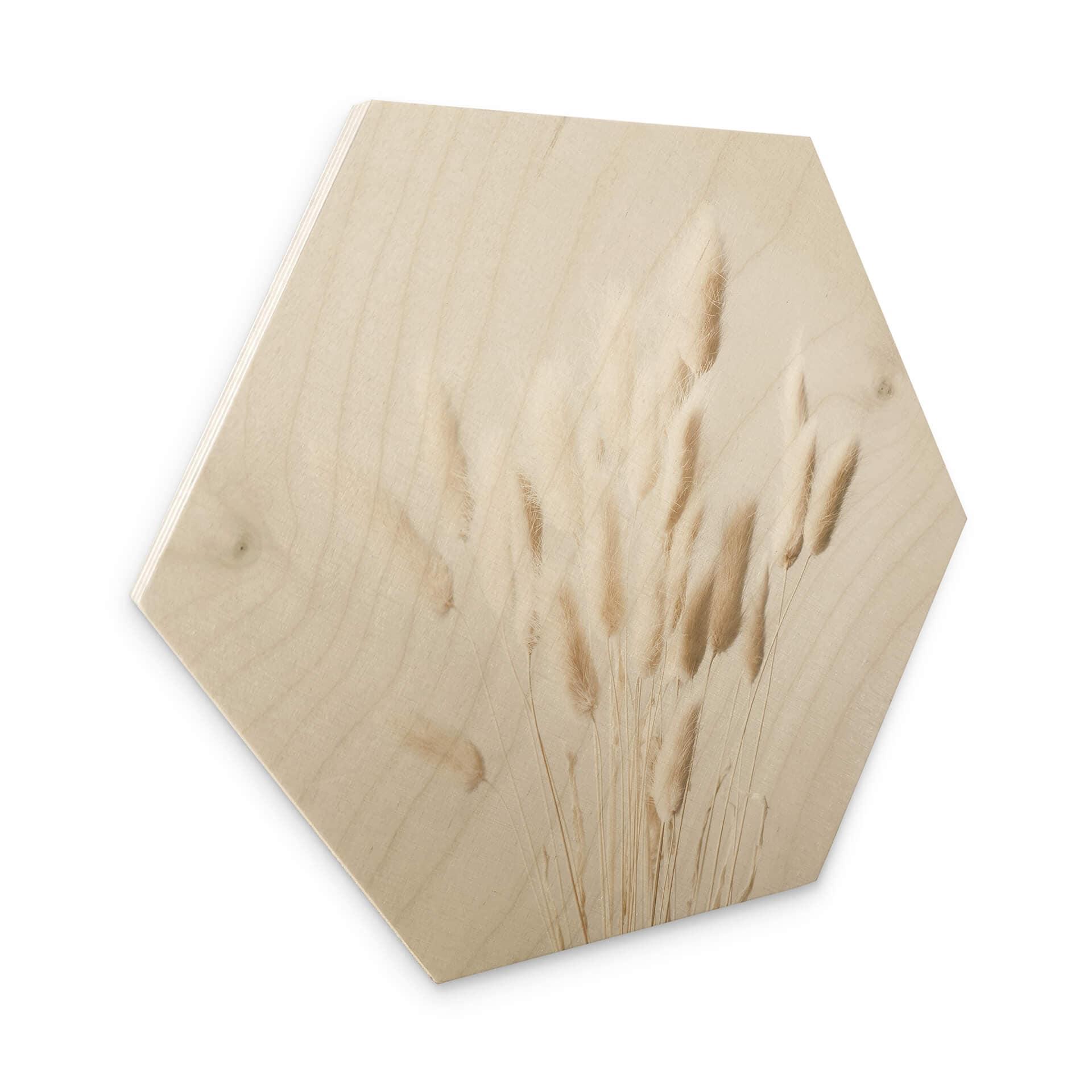 Hexagone - Bois 1X Studio - Herbes séchées