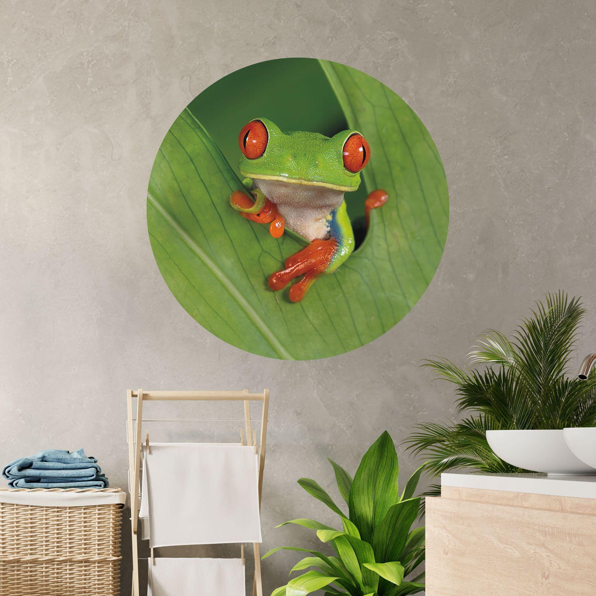 Wallsticker træfrø i regnskoven - van Duijn - Round 