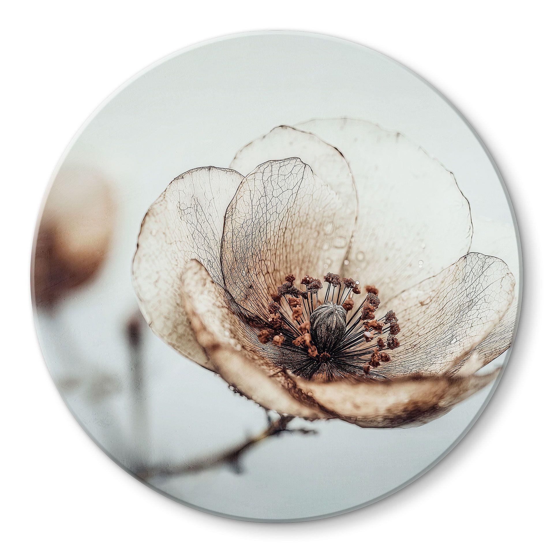 Glasbillede - Dry Blossom Beige Nature Poetry - Treechild - Round