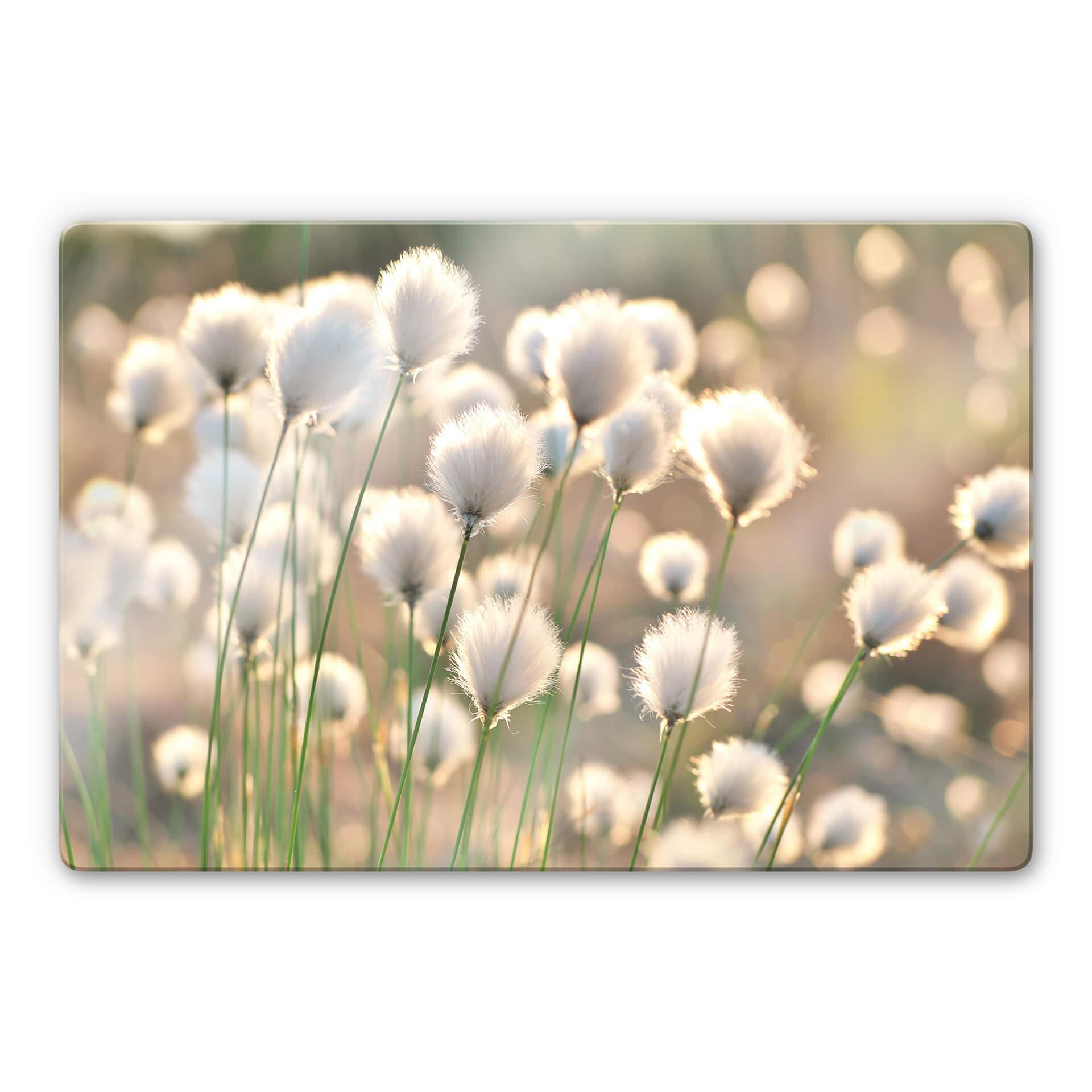 Glasschilderij Delgado - Flower Magic