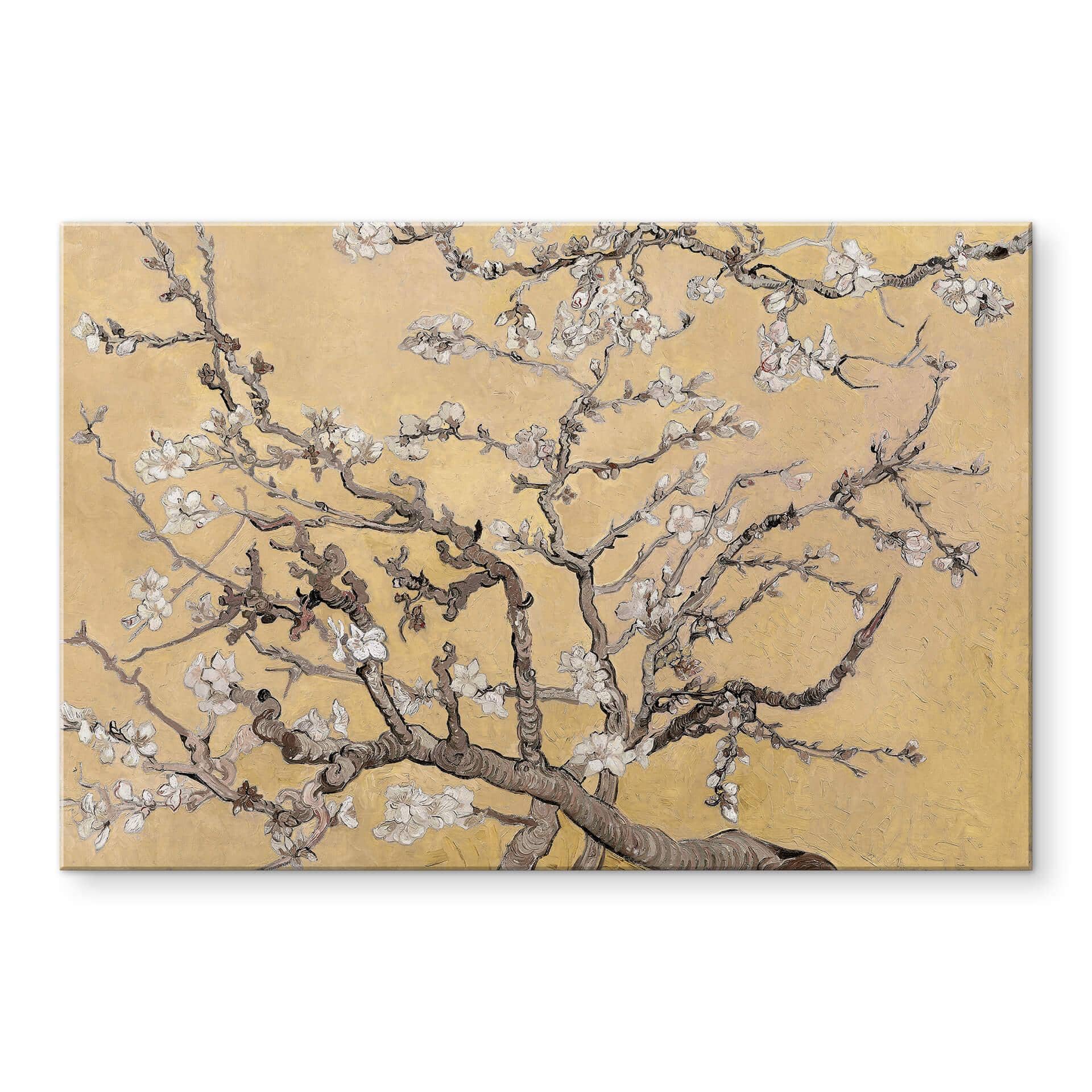 Akrylbillede van Gogh - Mandelblomst Creme