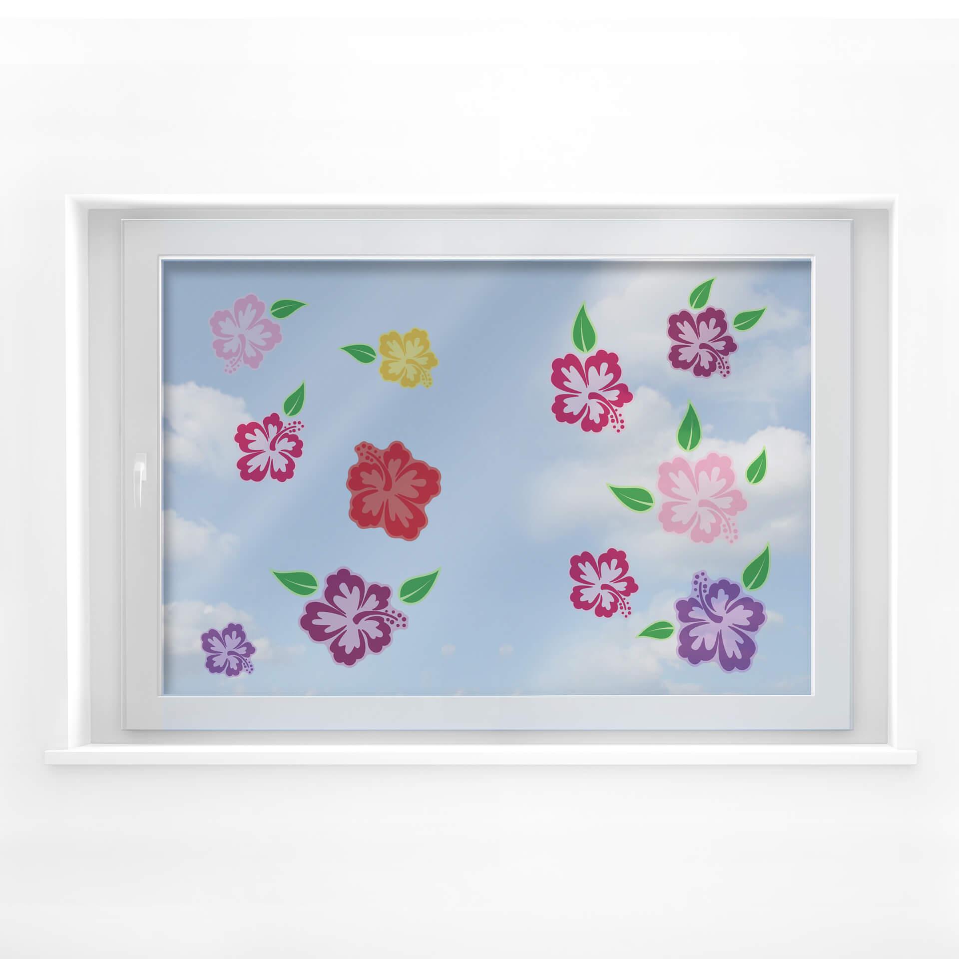 Cuadro de ventana flores de hibisco