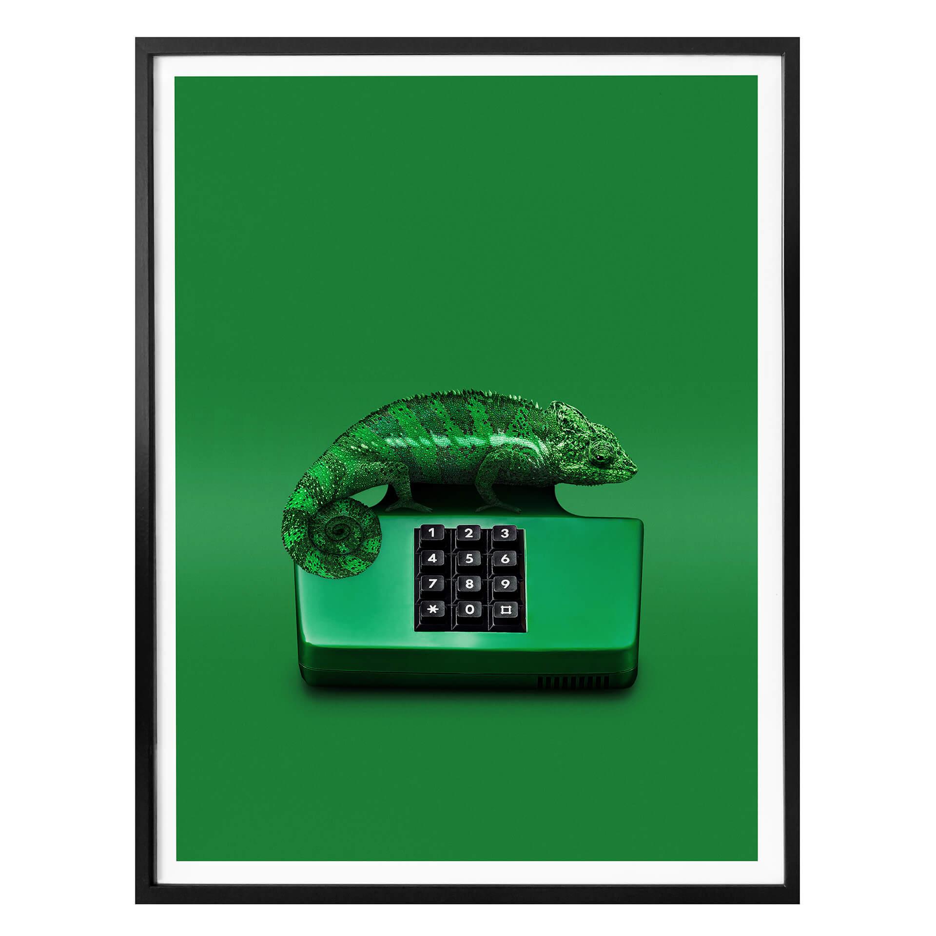 Póster Suelto - Camalephone