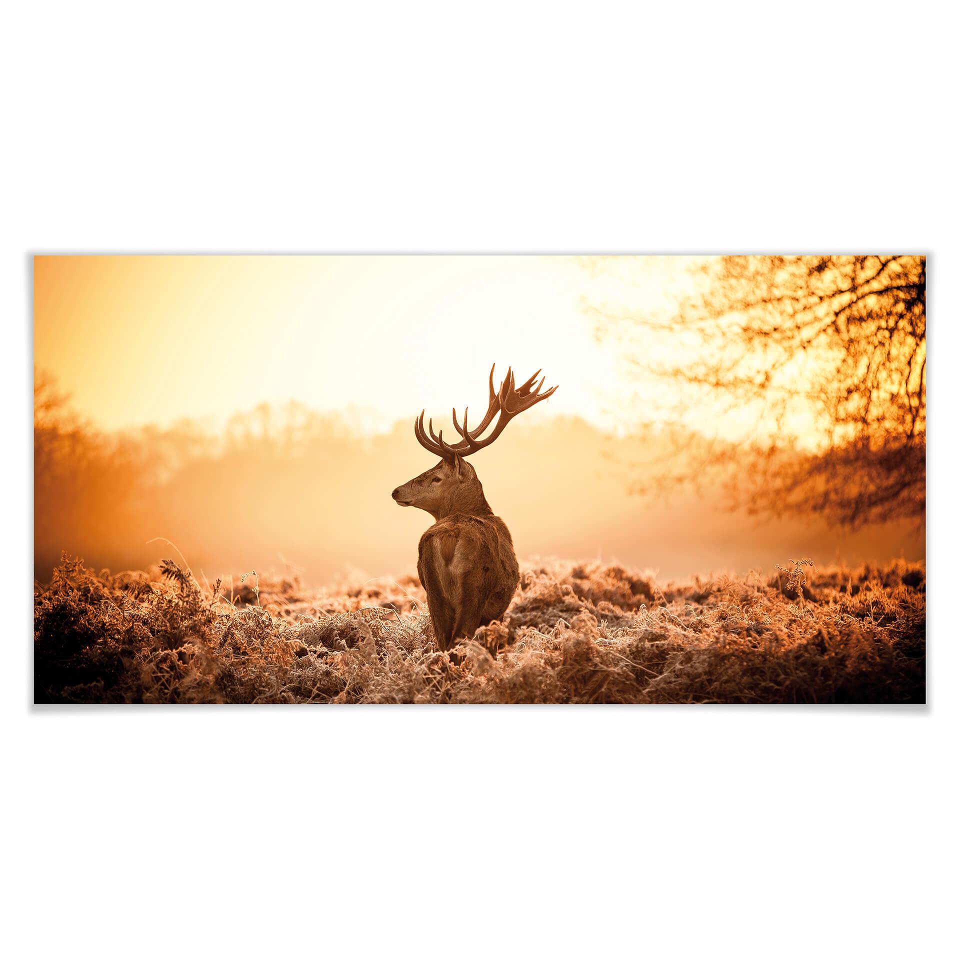 Poster - Cerf majestueux - Panorama