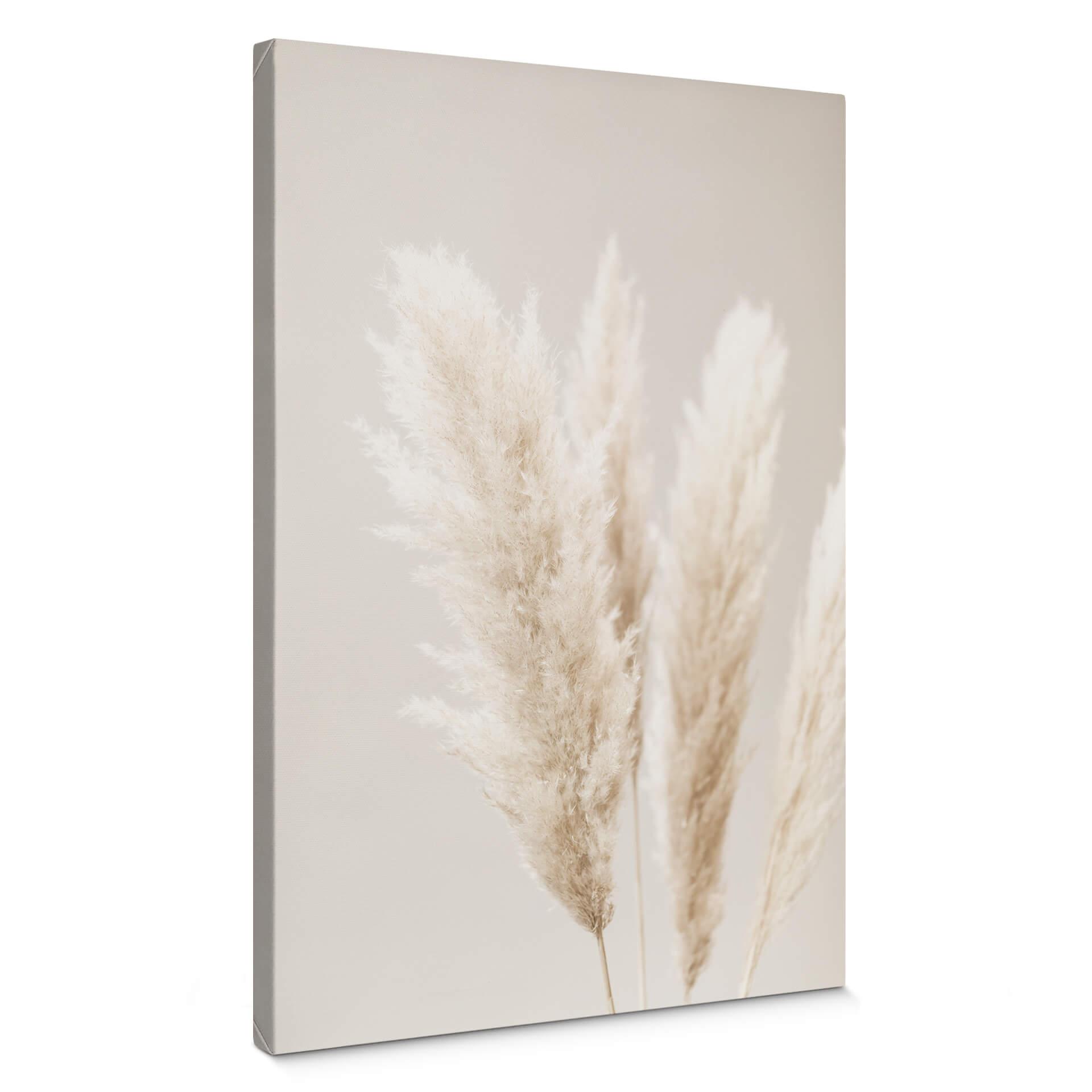 Lienzo 1X Estudio - Hierba de la Pampa