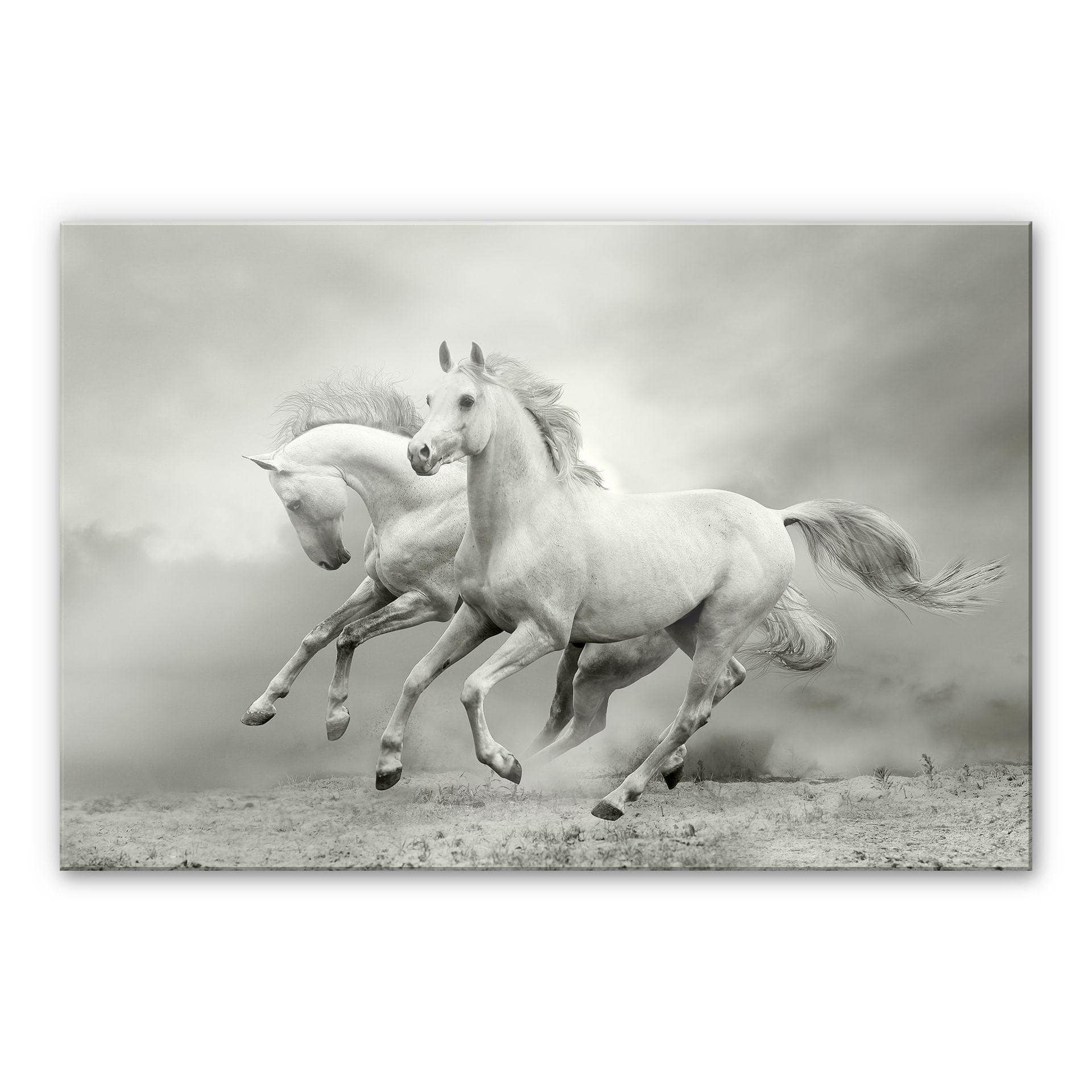 XXL Billede Heste i galop