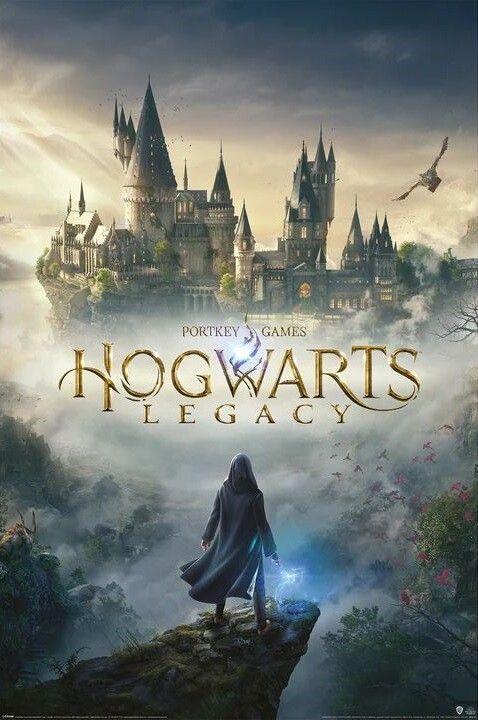 Poster, film poster Harry Potter - Hogwarts Legacy 61x91,5 cm