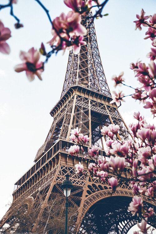Plakat Paris - Eiffeltårnet, plakat (80 x 120 cm)