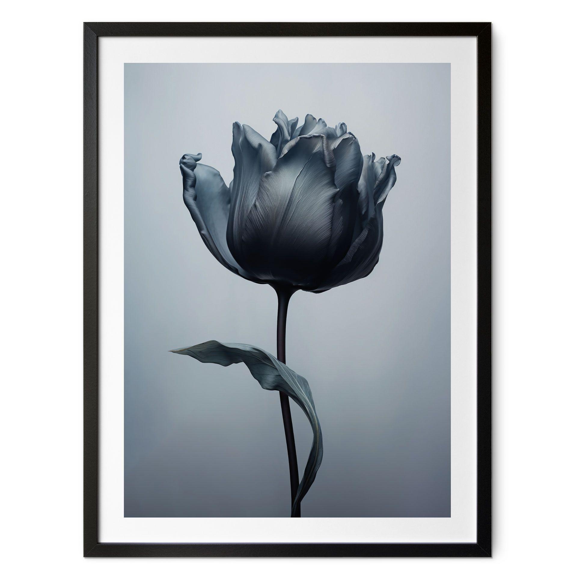 Póster tulipán aterciopelado en negro - Paksoylu