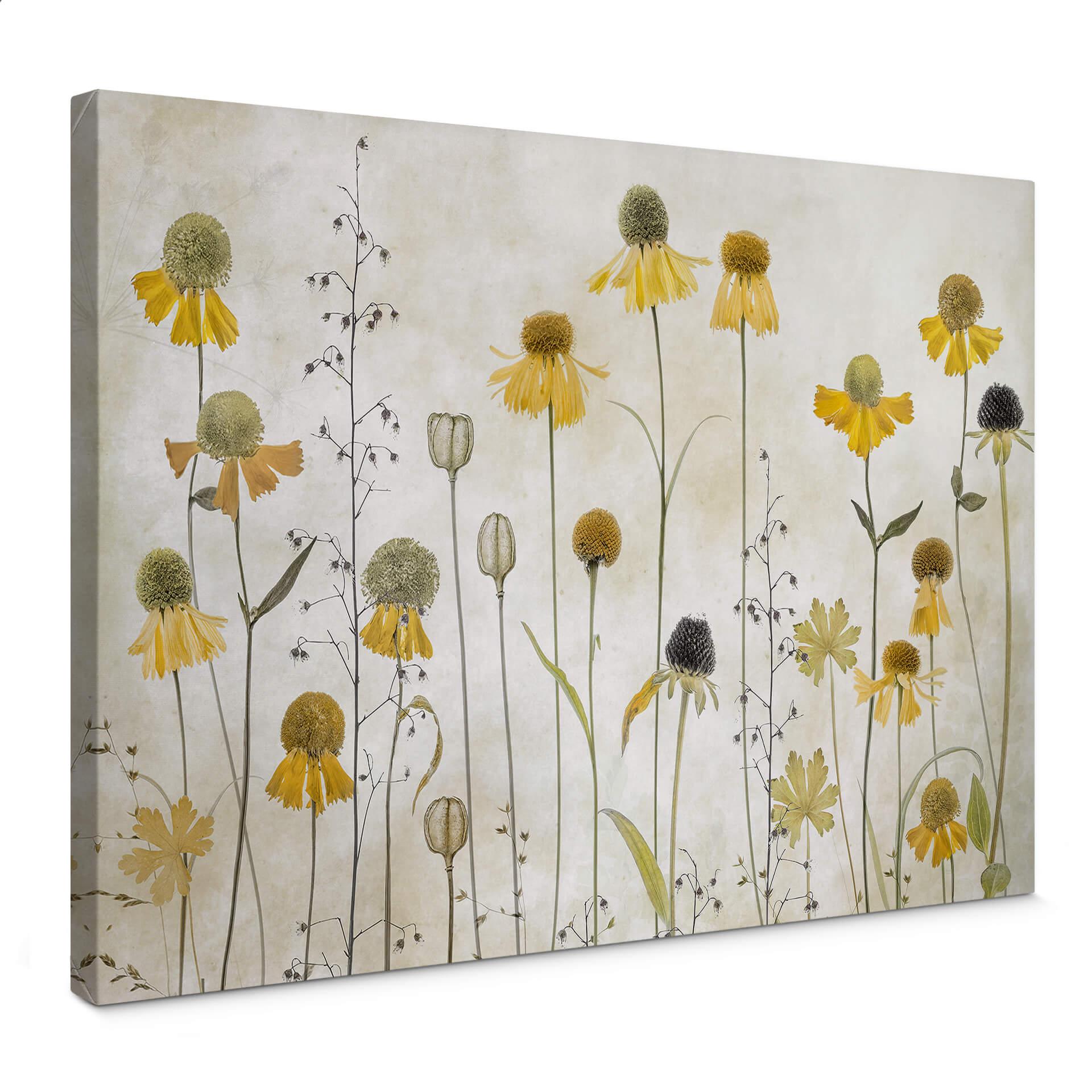 Lienzo Disher - Girasol