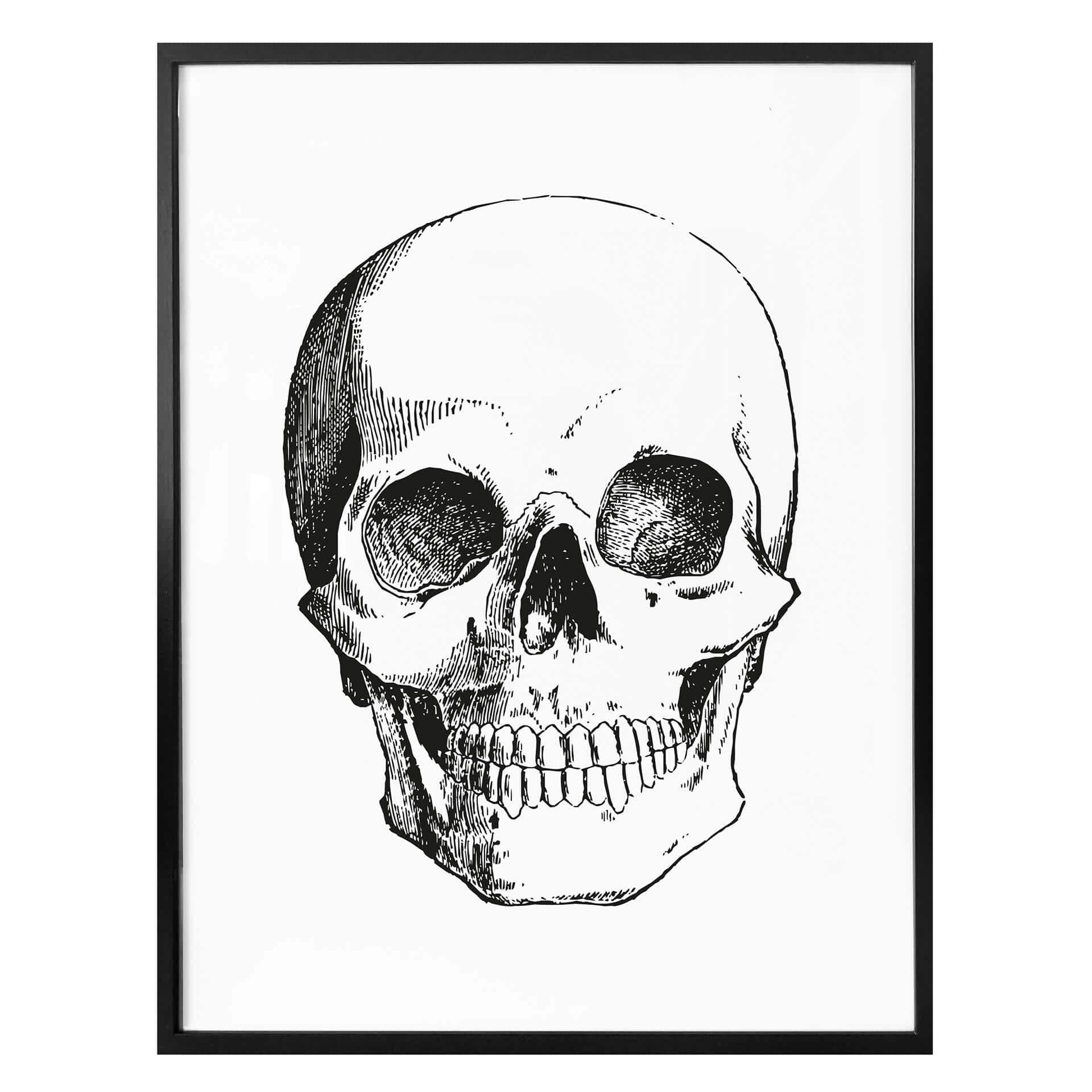 Affiche - Crâne humain