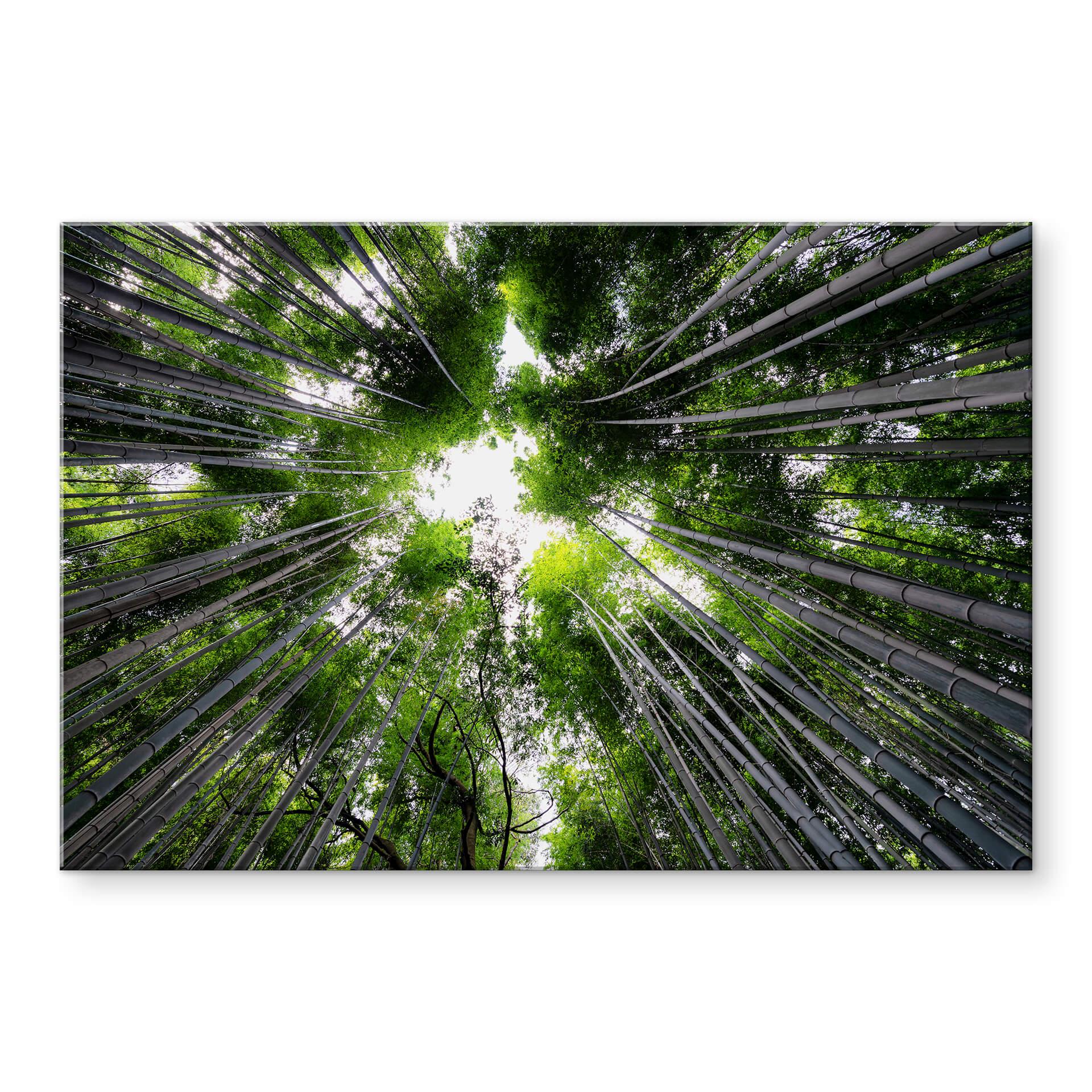 Akrylbillede Hugonnard - Skov i Japan