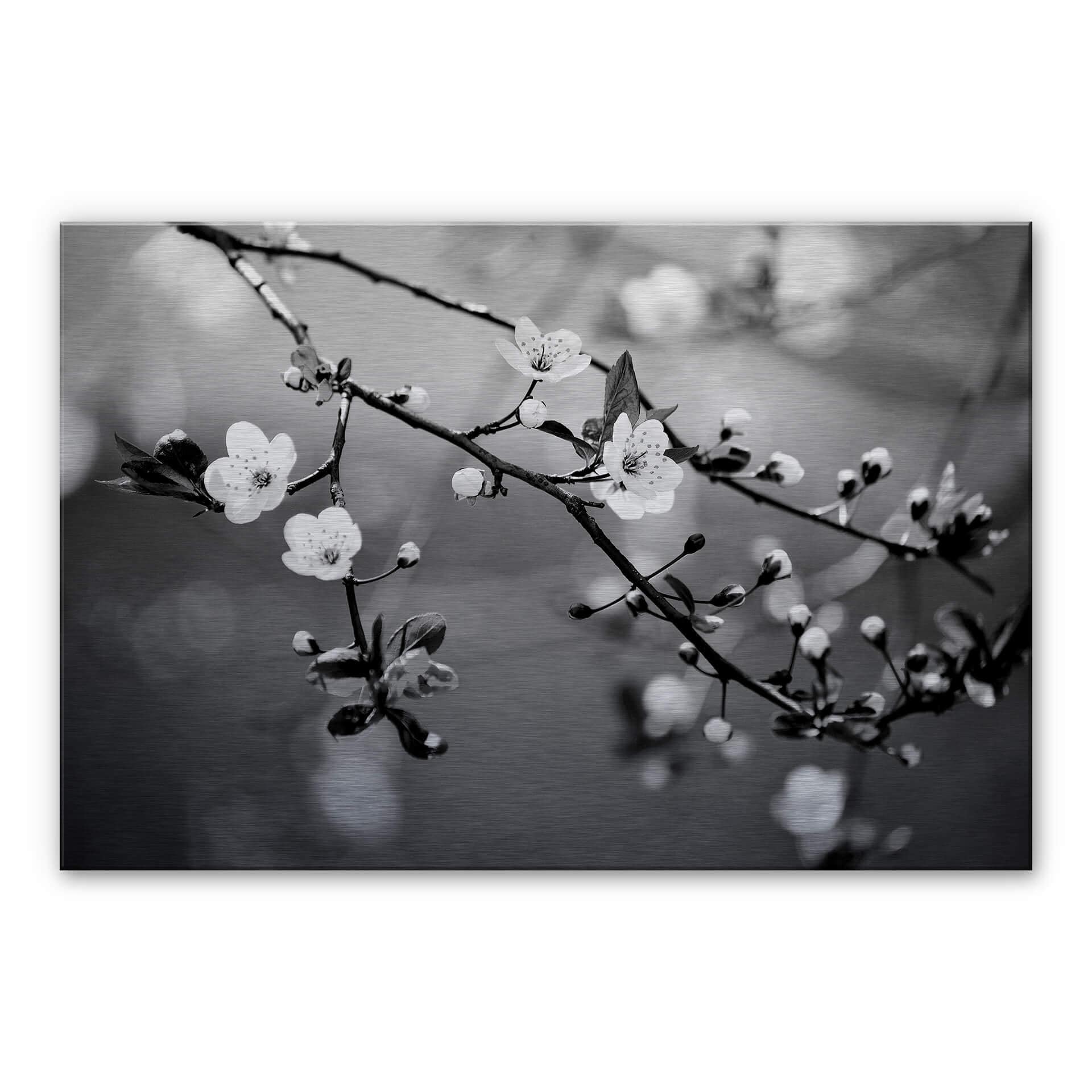 Tableau en alu-Dibond Éveil du printemps