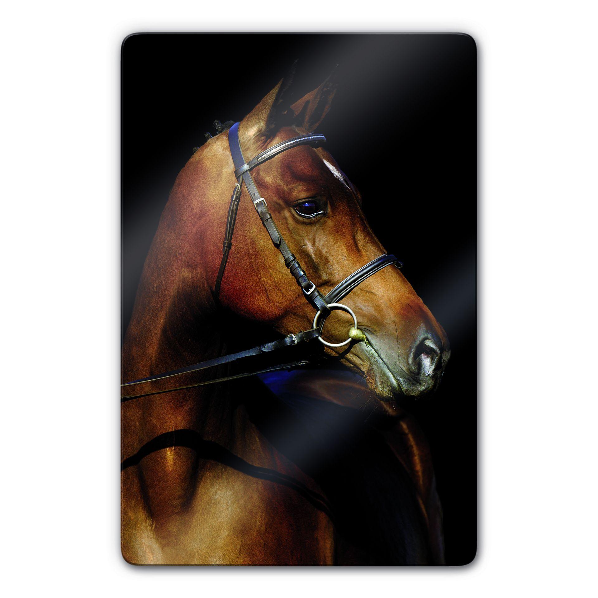 Glasbillede - Hingst