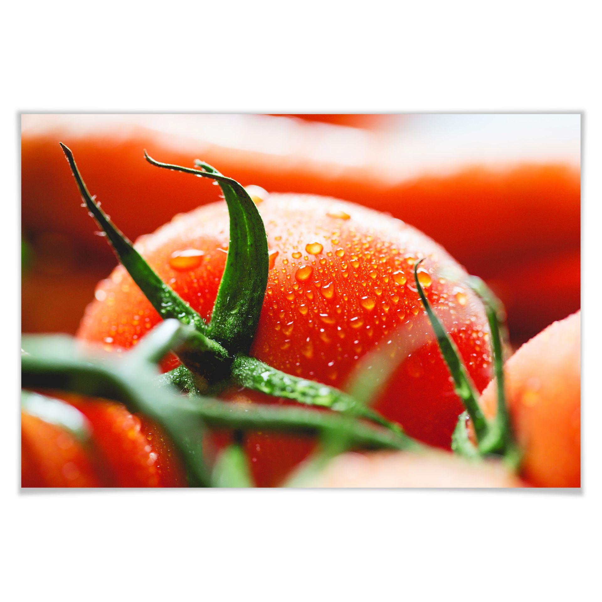 Poster - Fresh Tomato