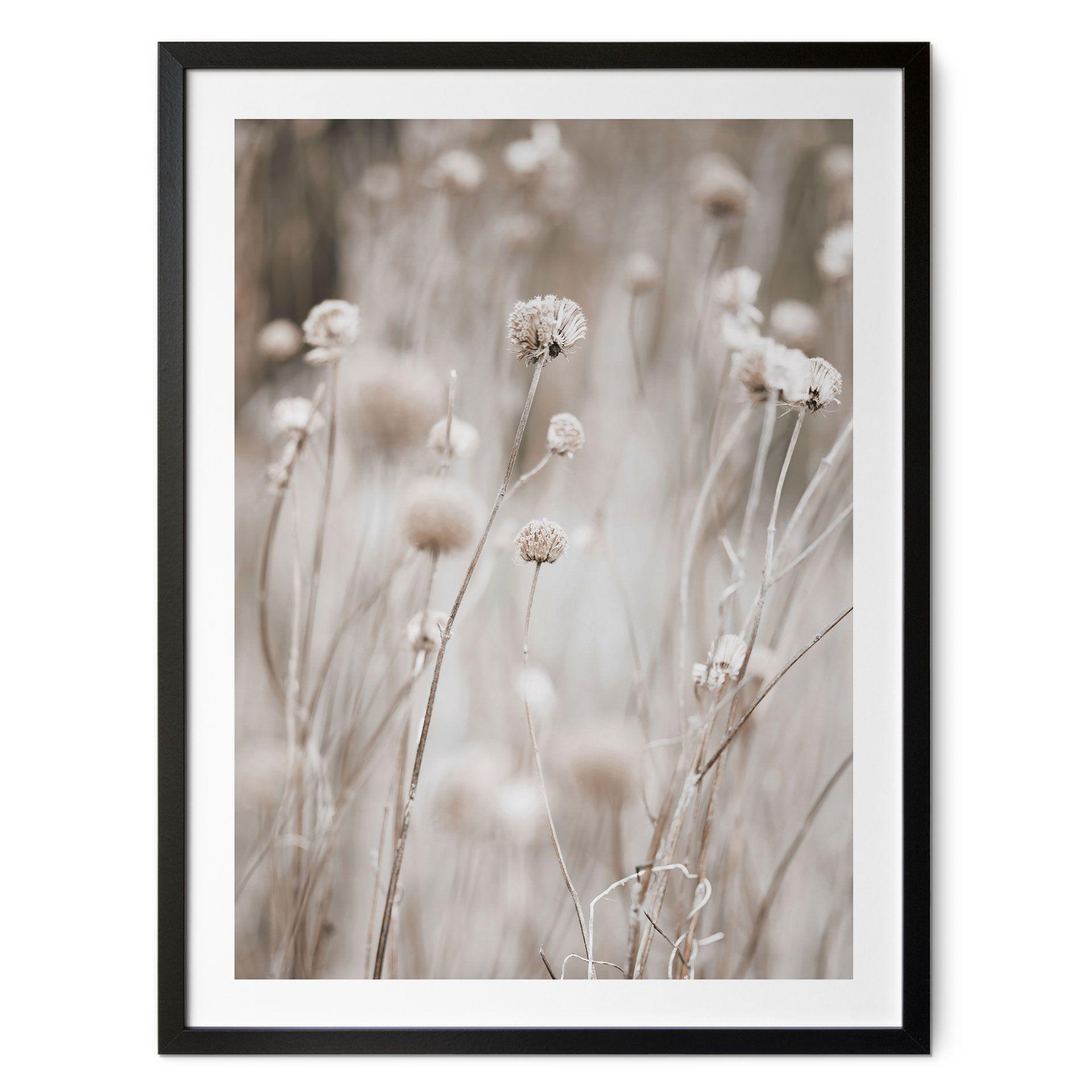 Póster Flores secas en tonos suaves - Annie