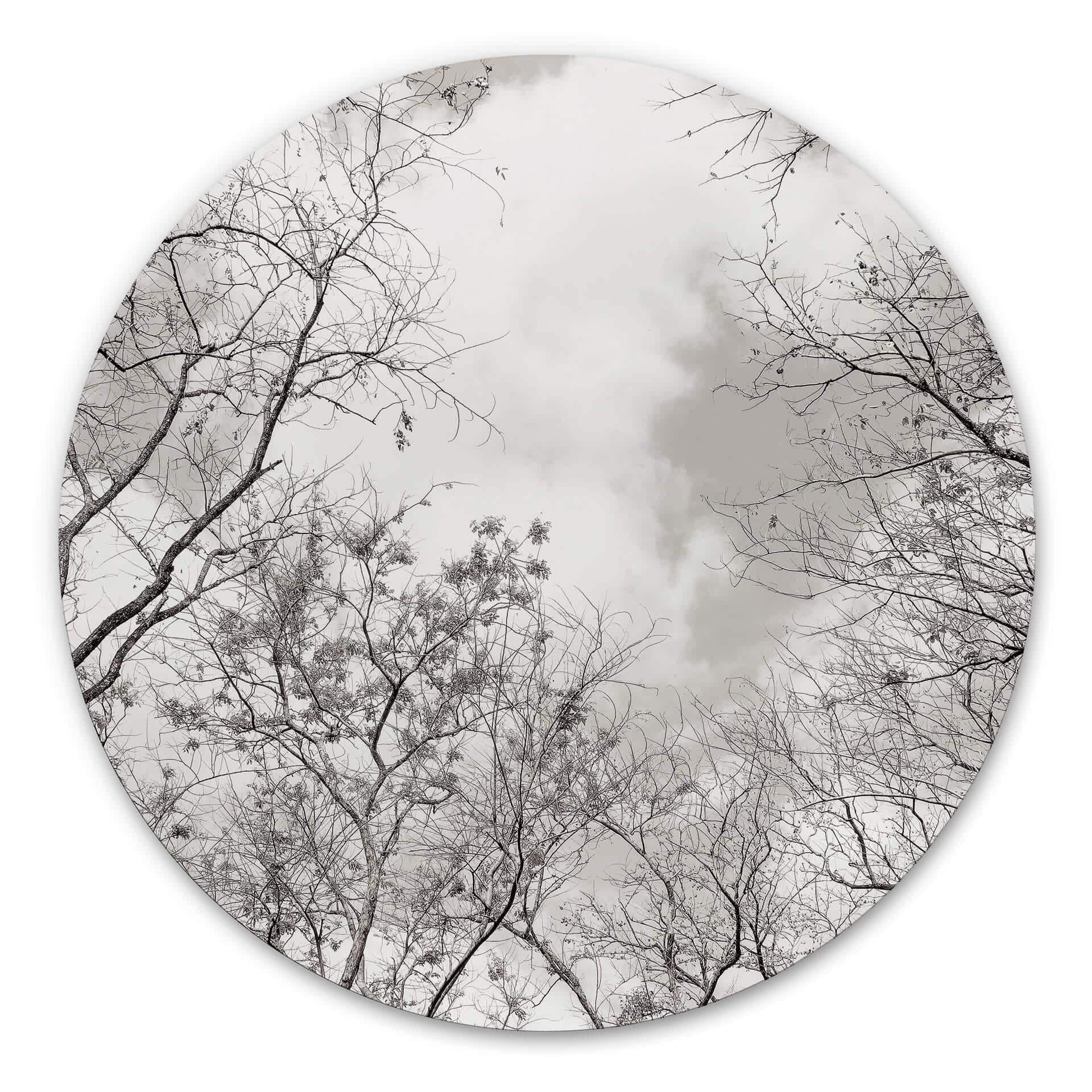 Tableau en alu-Dibond Cimes des arbes dans le ciel - Rond