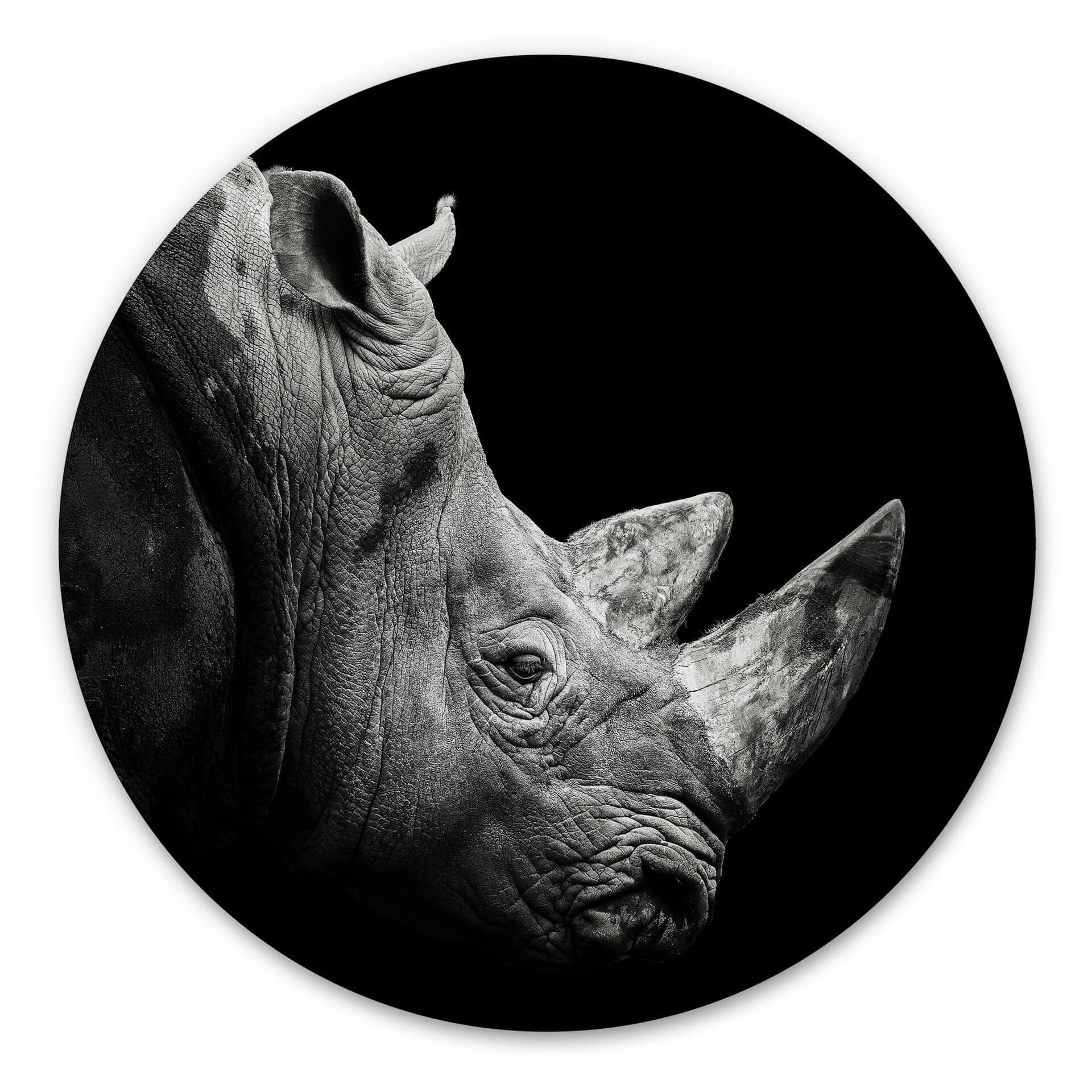 Hexagone - alu-Dibond Meermann - Le rhinocéros - Rond