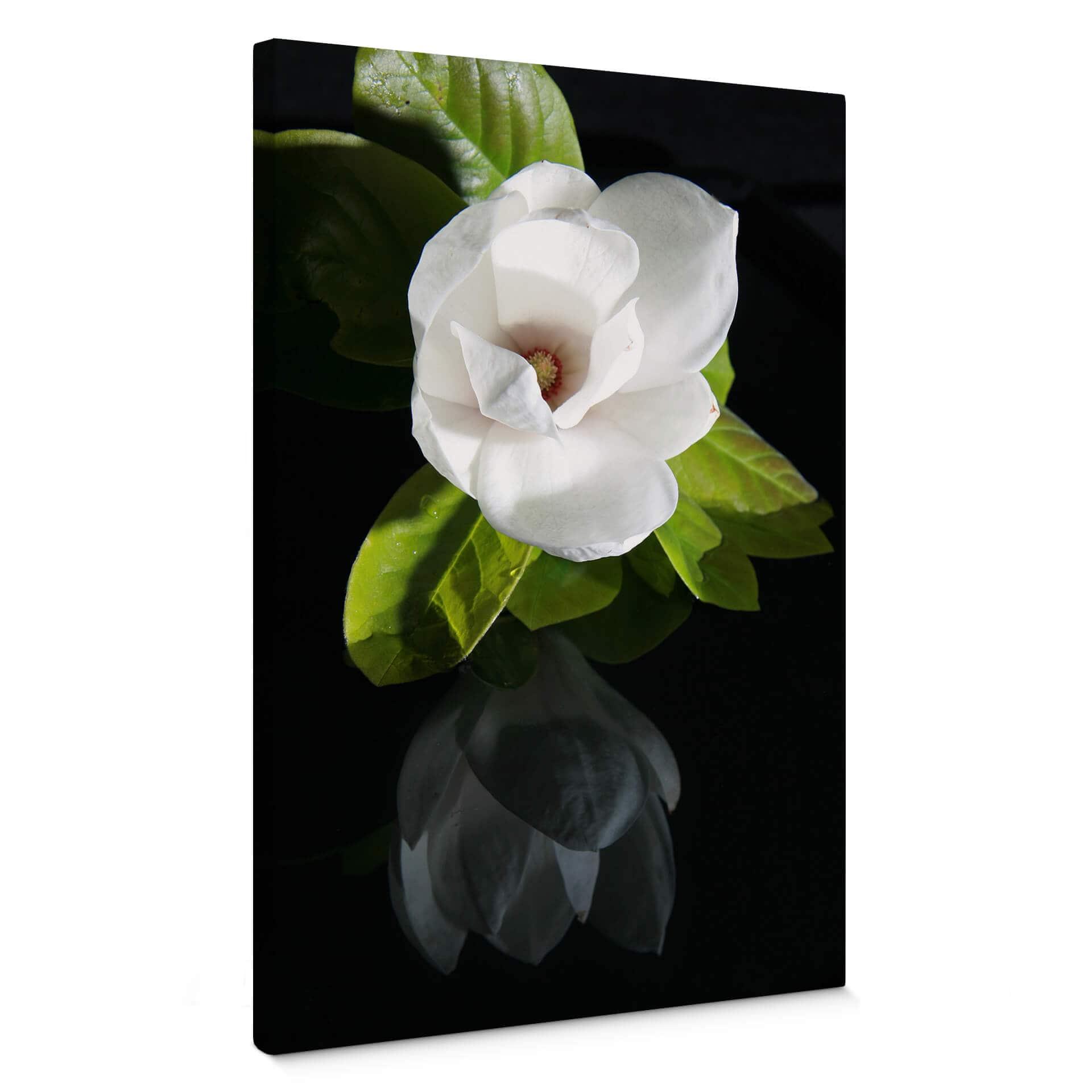 Lienzo Jardín de orquídeas