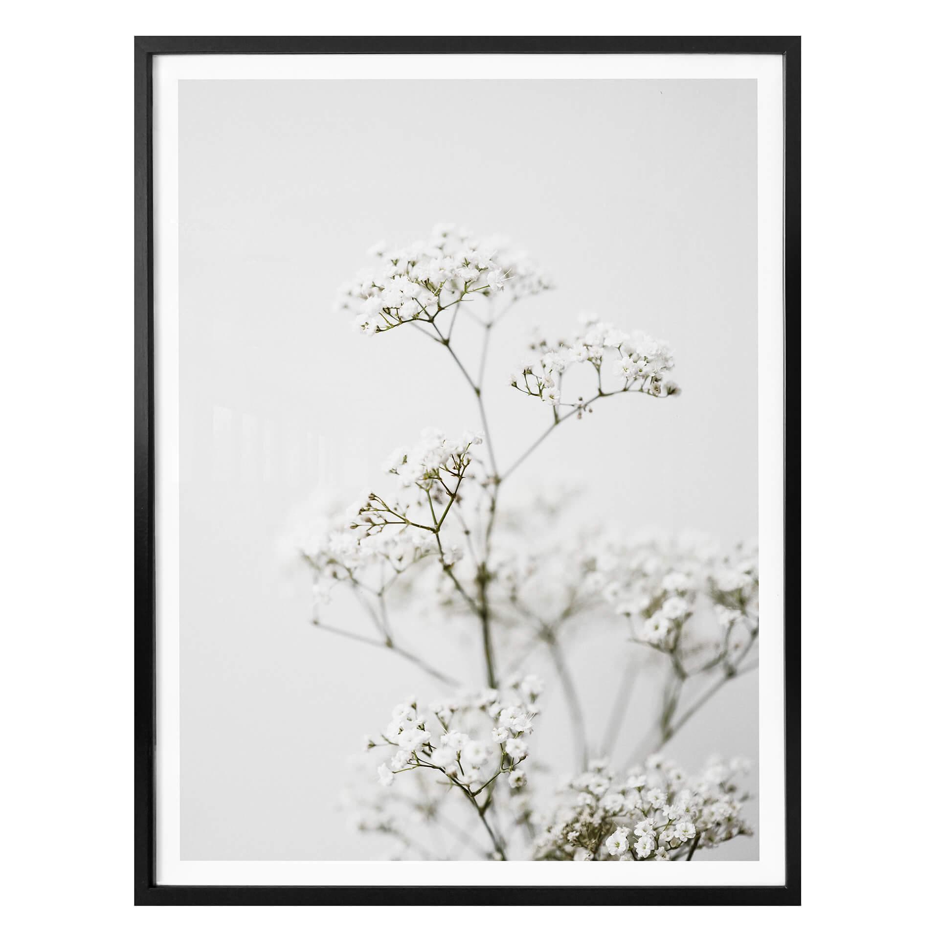 Plakat - Annie - Meadow