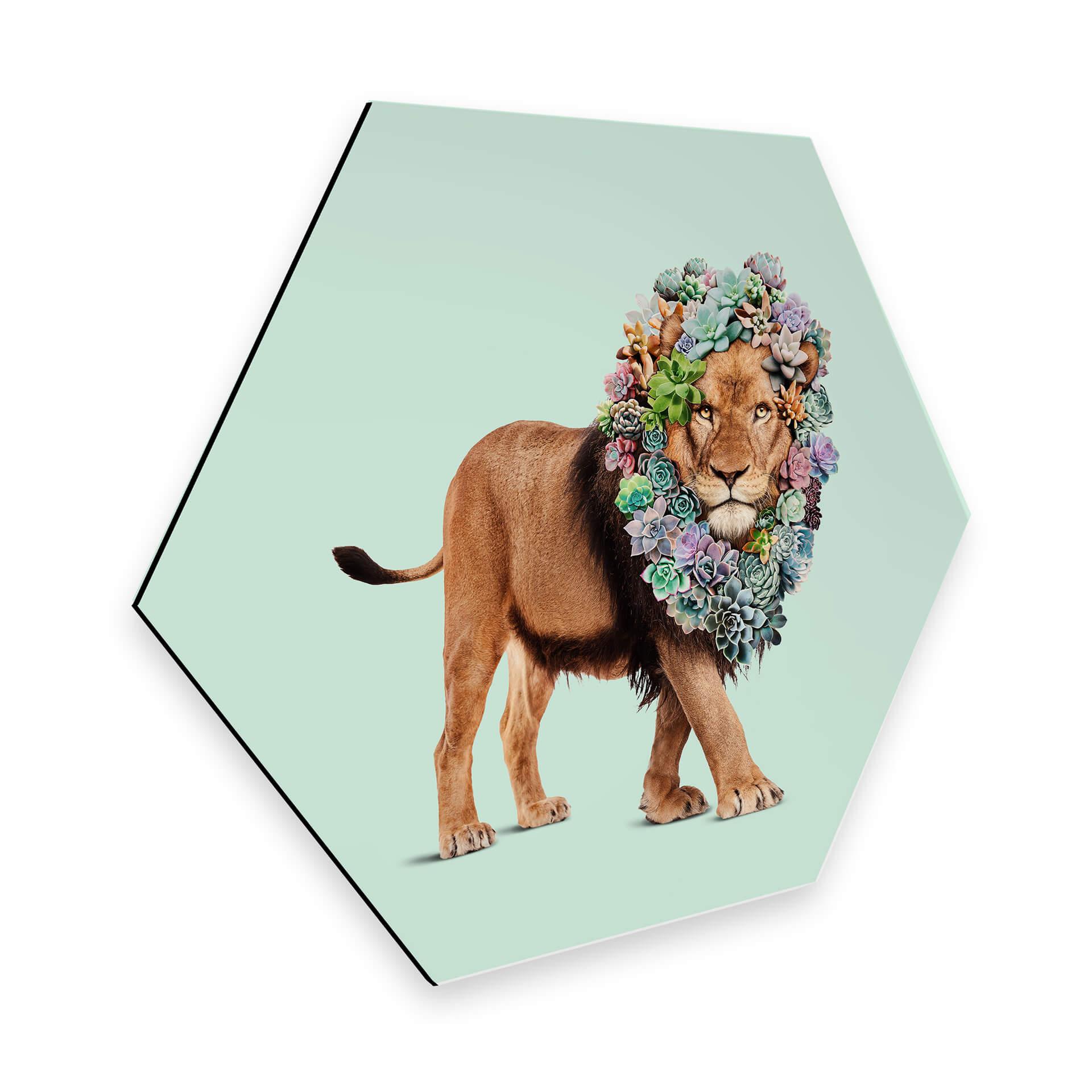 Hexagone - Alu-Dibond Loose - Lion succulent