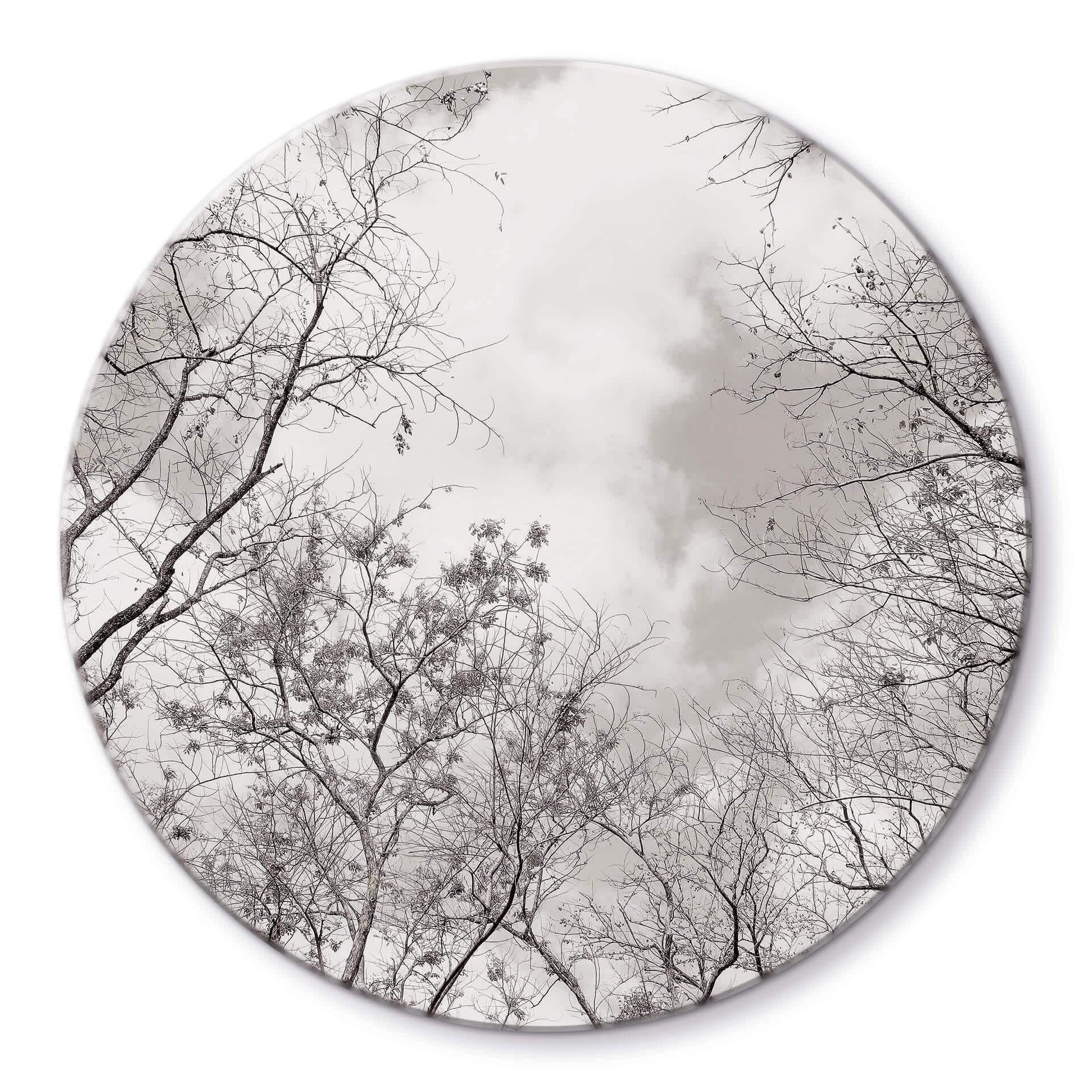 Tableau en verre Cimes des arbes dans le ciel - Rond