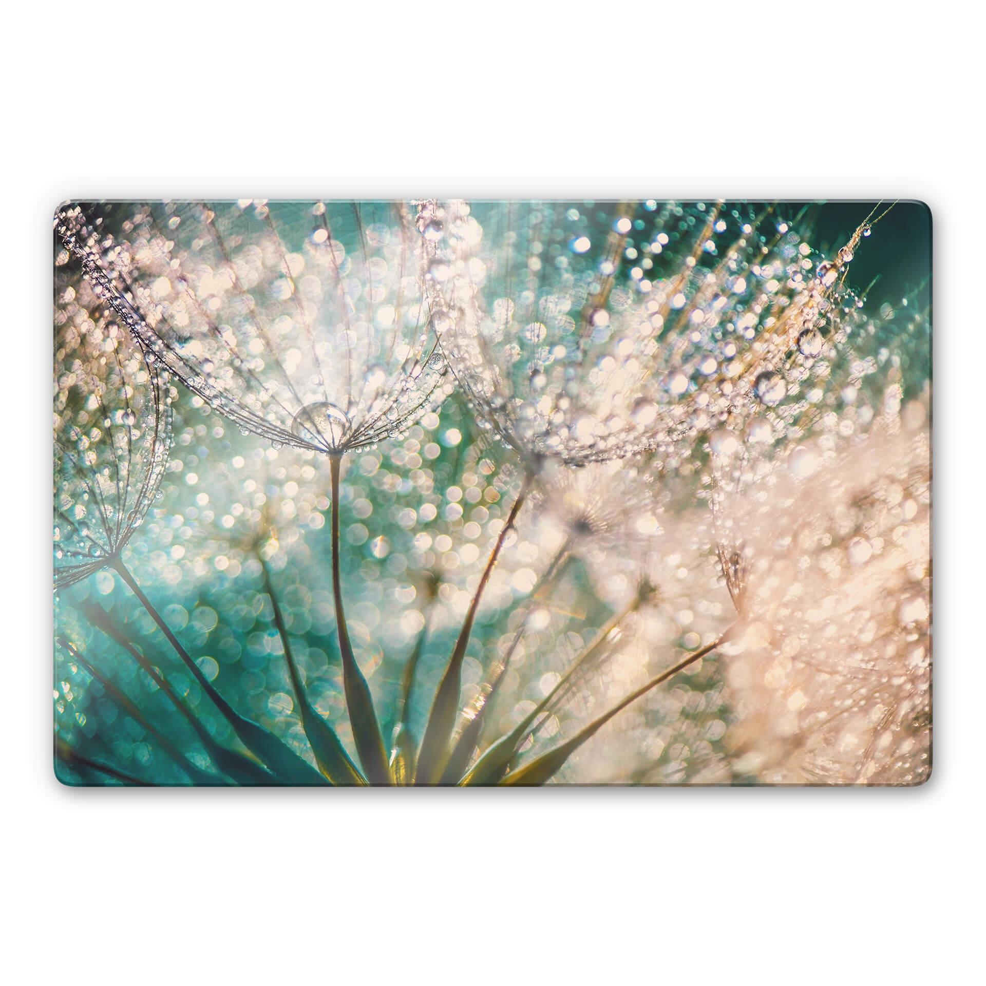 Glasbillede - Delgado - Glittery Dandelions