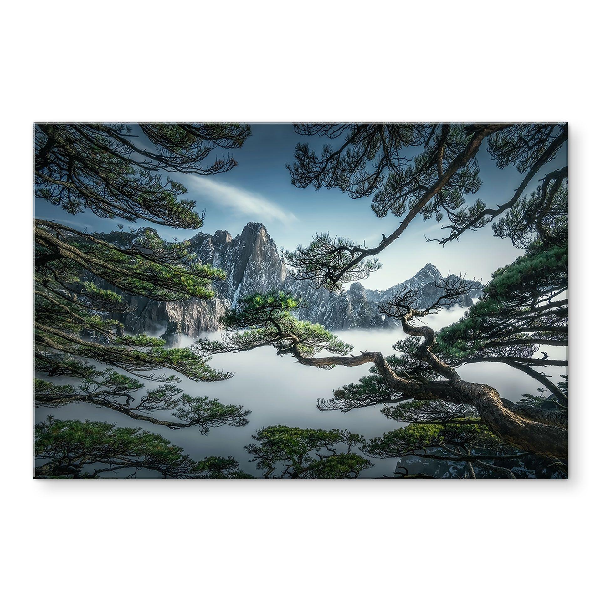 Akrylbillede Fyrreskov i Huang Shan-bjergene - NingYun Ye