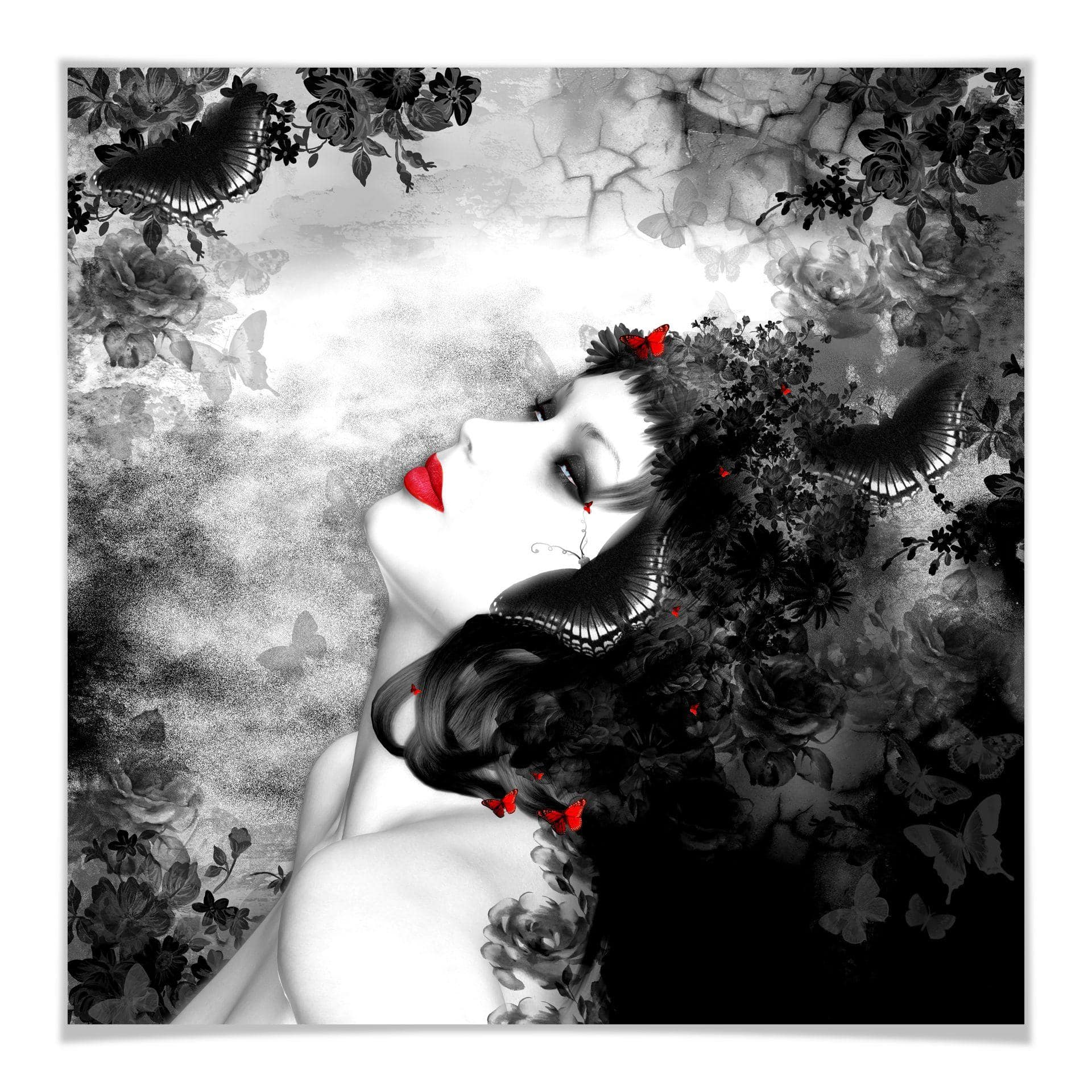 Poster - Papillon noir Imago