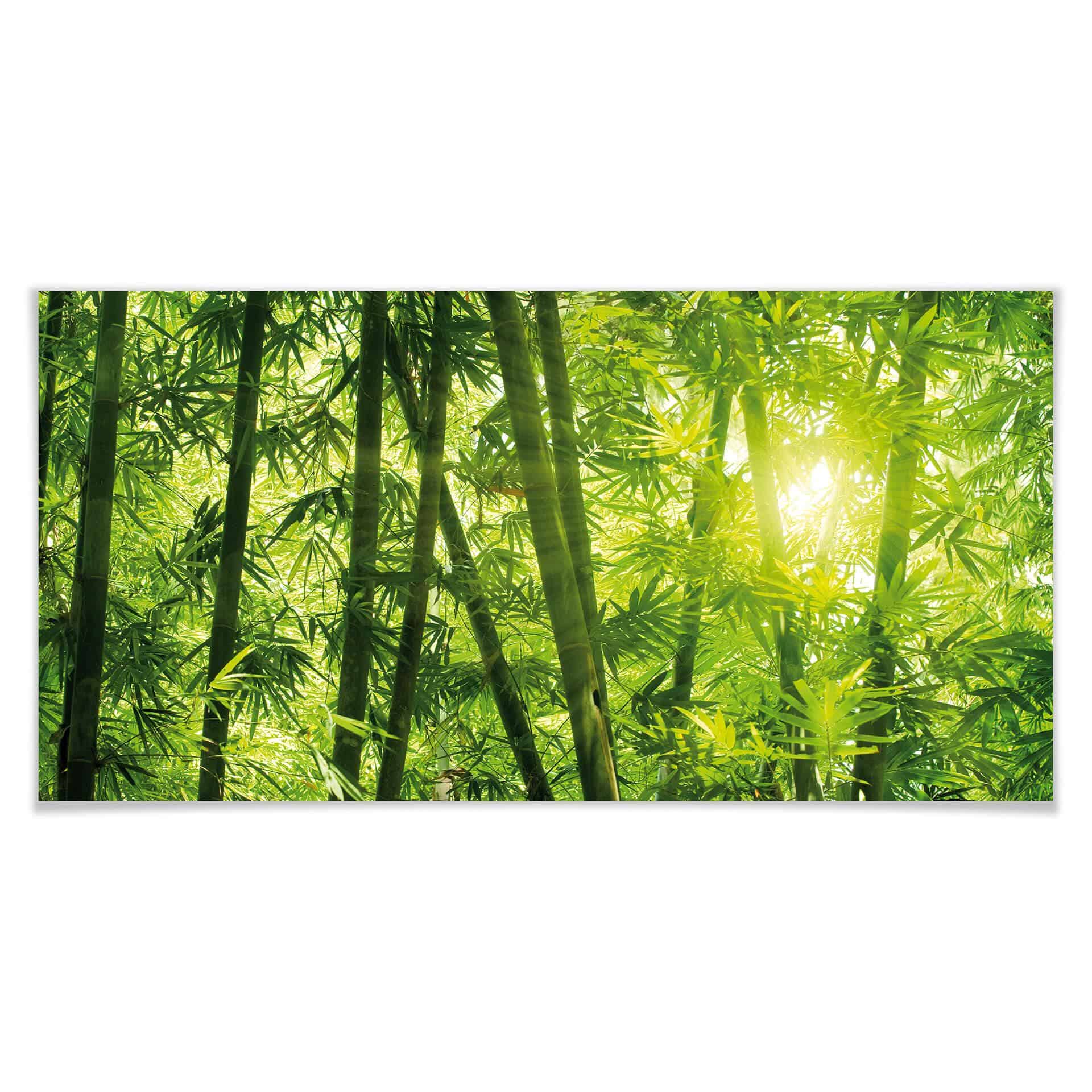 Póster Sol en el bosque de bambú - Panorama