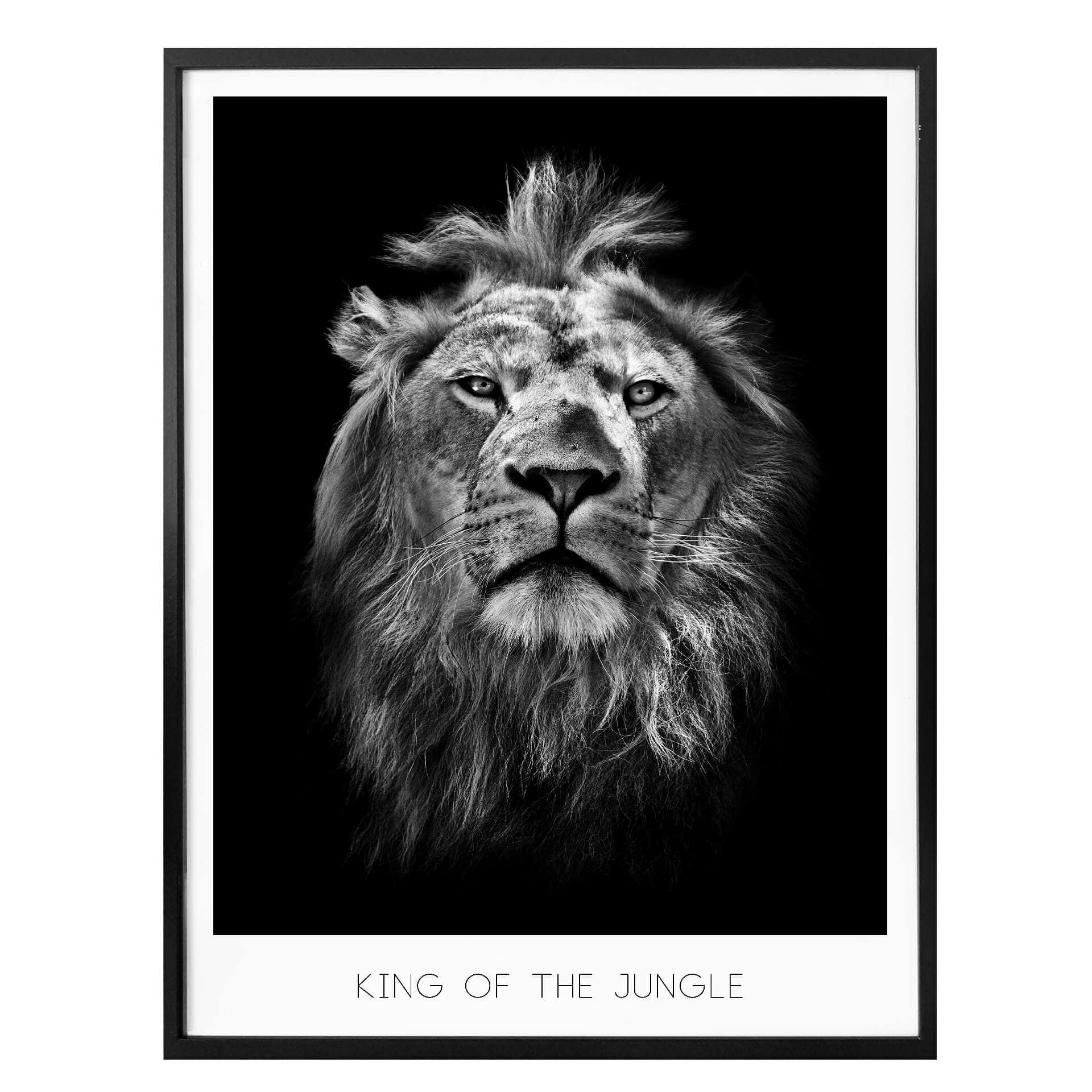 Póster León - Rey de la selva