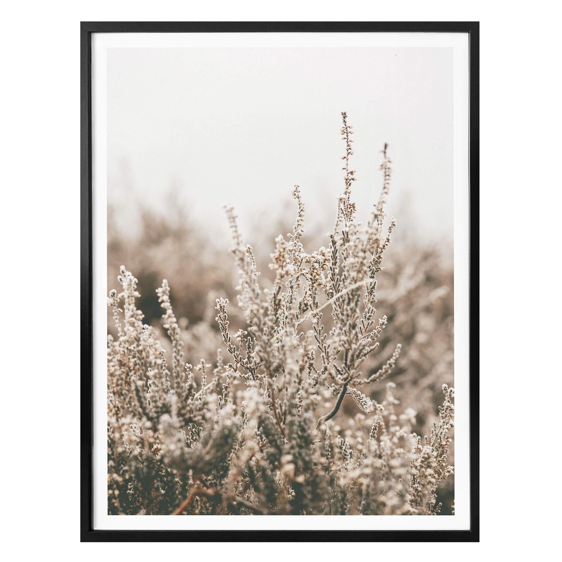 Plakat - Annie - Grass