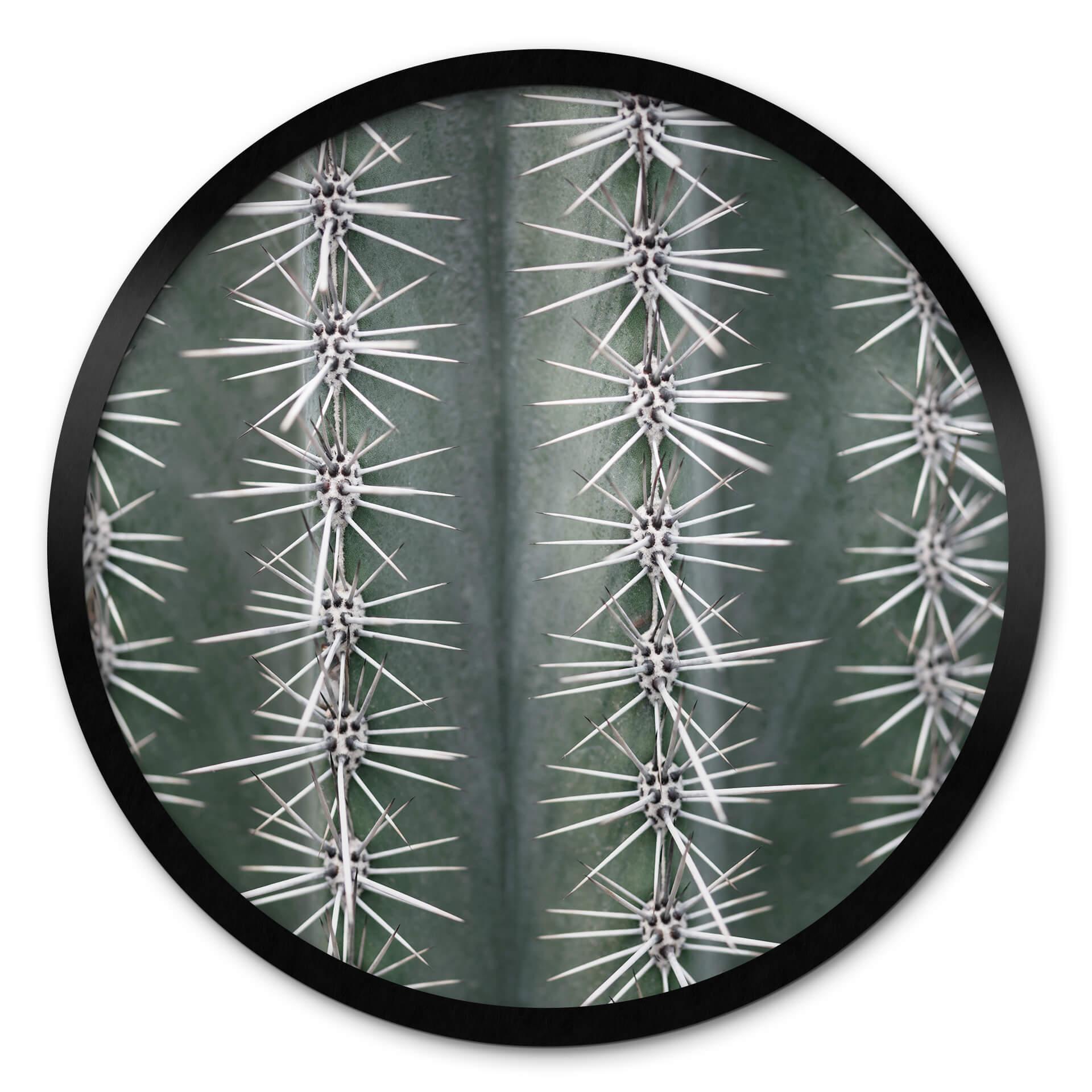 Plakat 1X Studio - Cactus