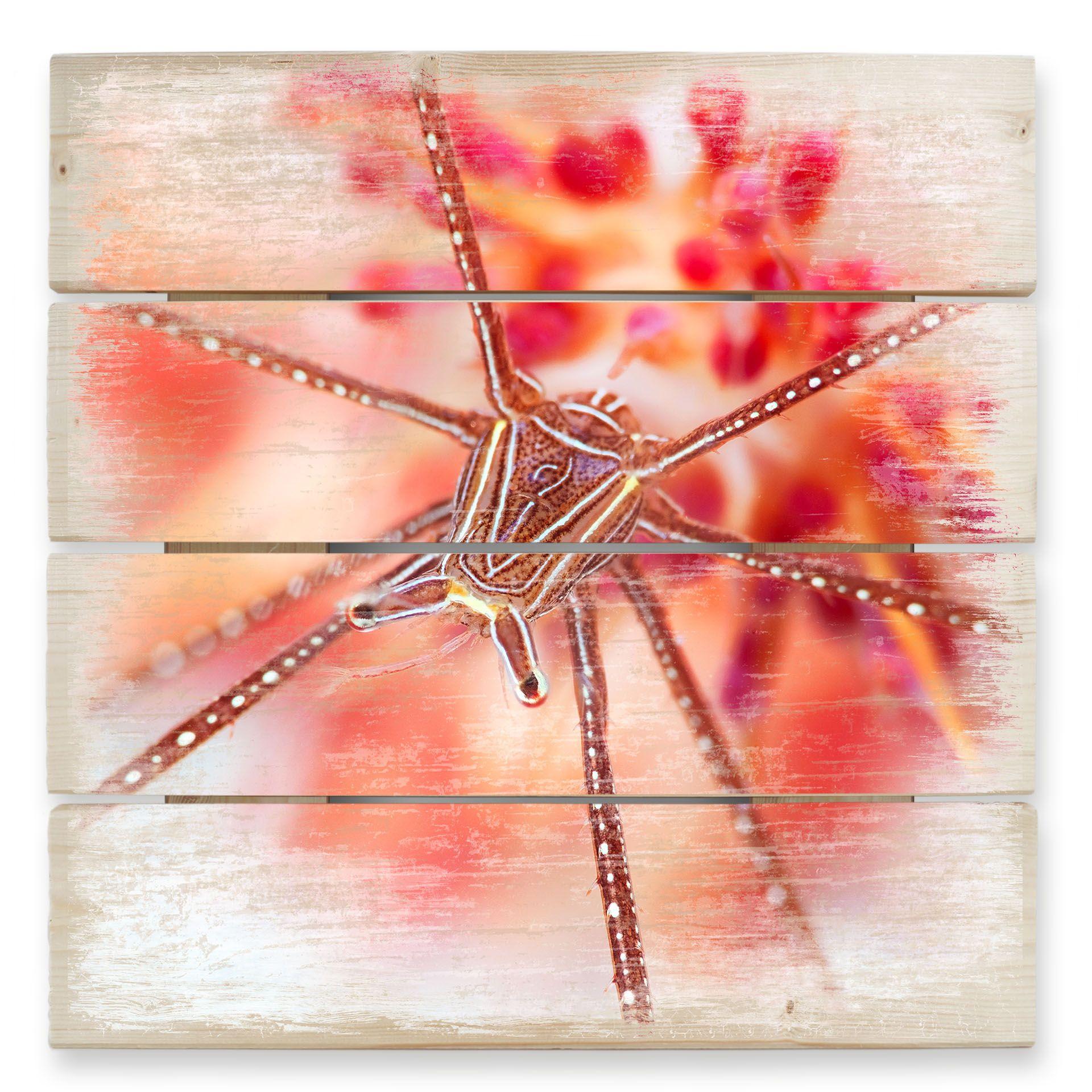 Cuadro de madera Narchuk - exótico submarino - 40x41,5 cm