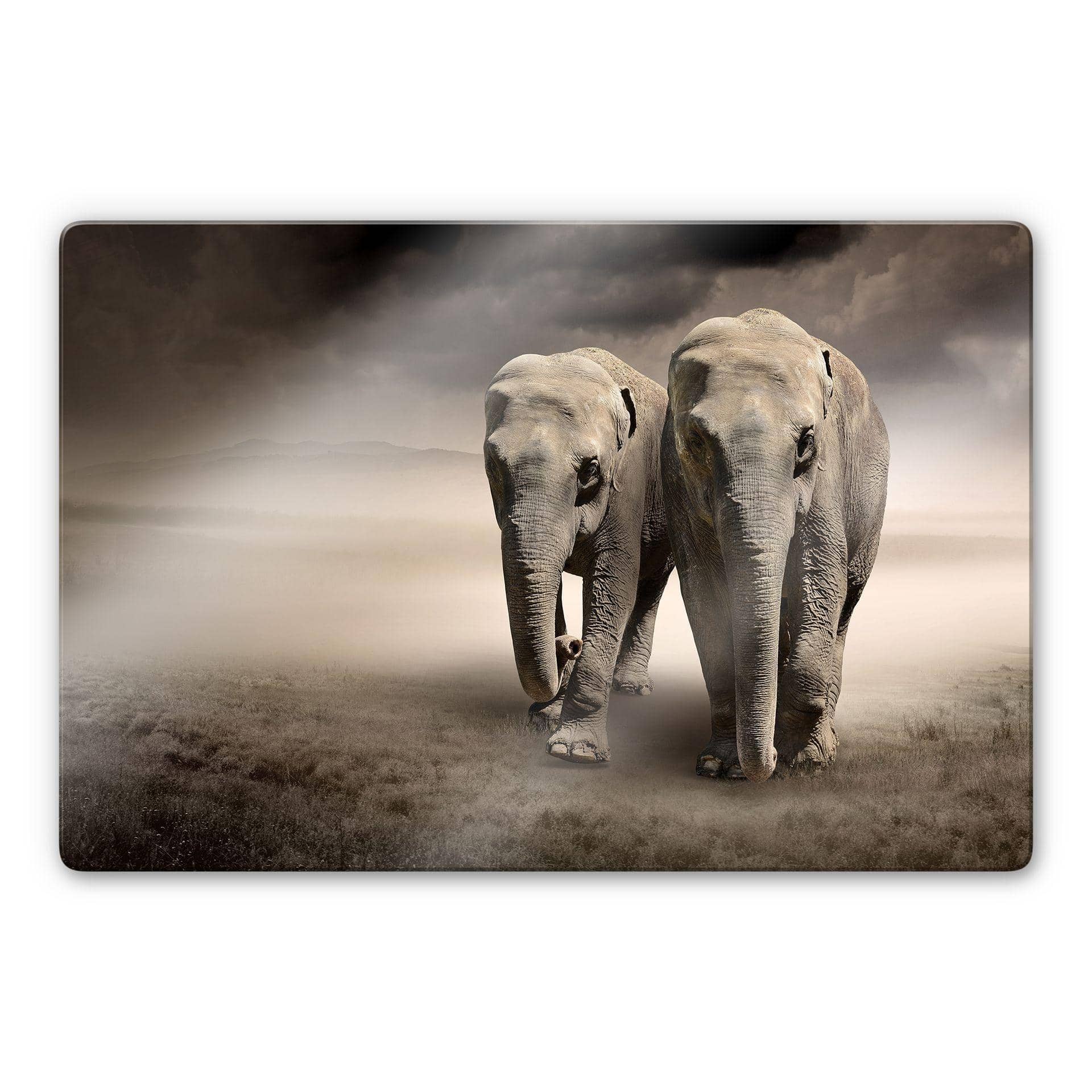 Tableau en verre - Eléphants
