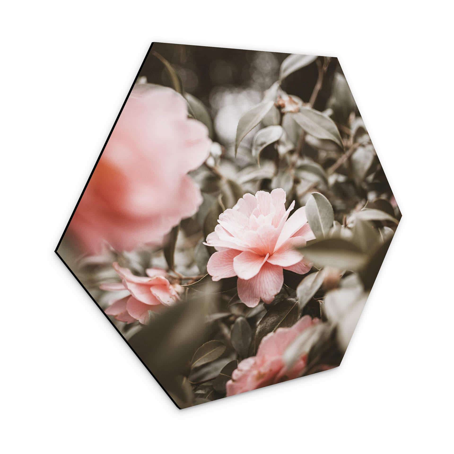 Hexagone - Alu-Dibond Annie - Roses